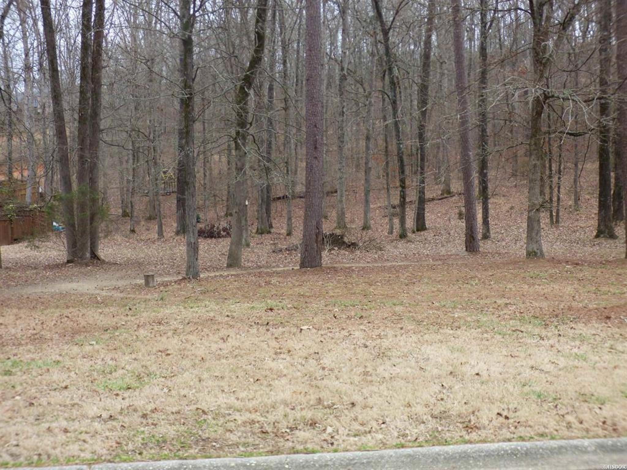 00  Lake Forest Shores  Hot Springs, AR