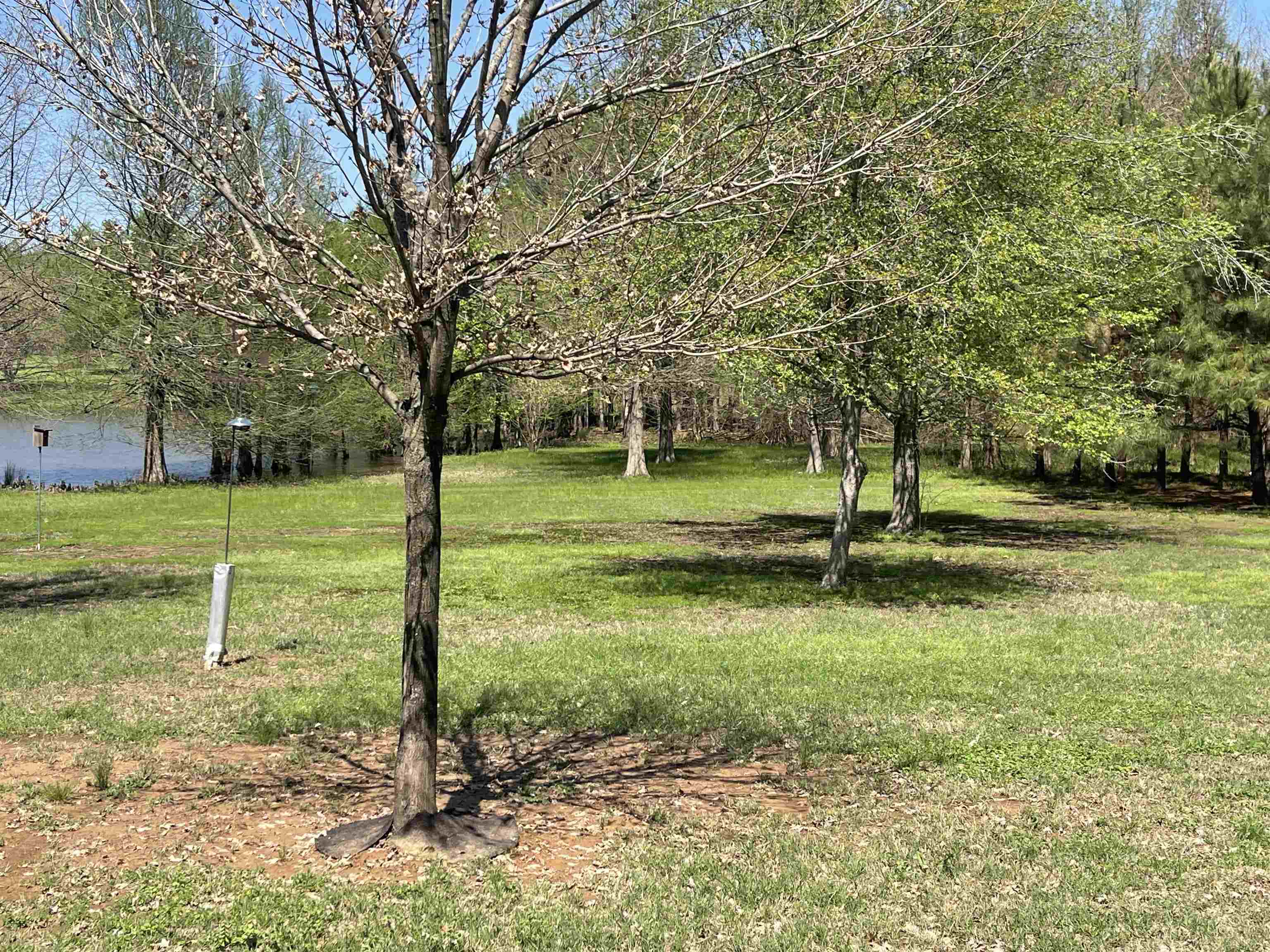 20  Shamrock  Clarksville, AR