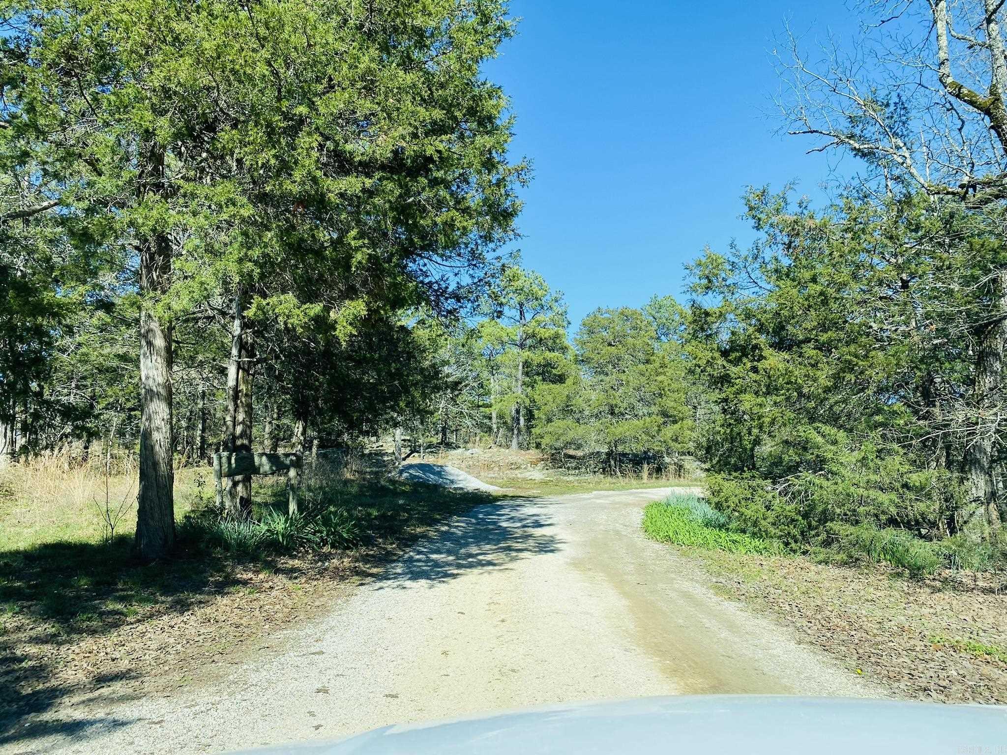 444 Cedar Cabin Lane Calico Rock, AR 72519