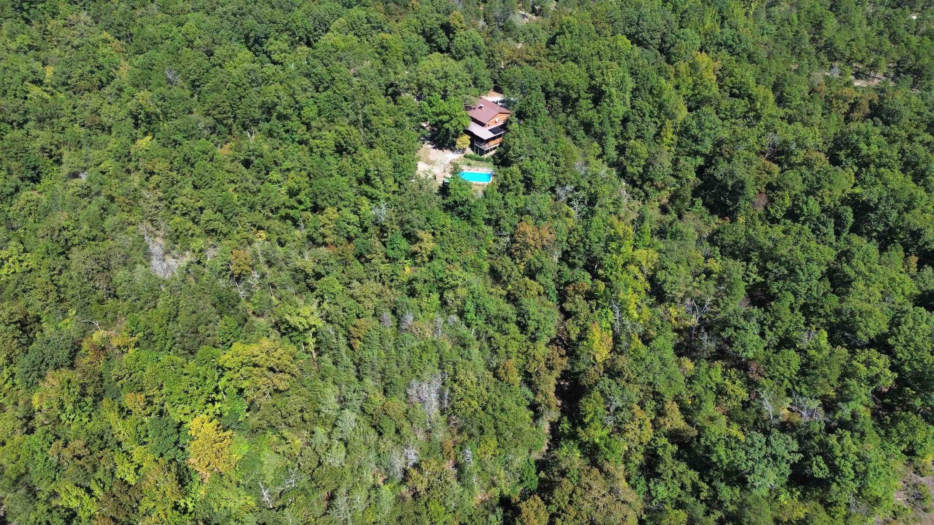444 Cedar Cabin Lane Calico Rock, AR 72519