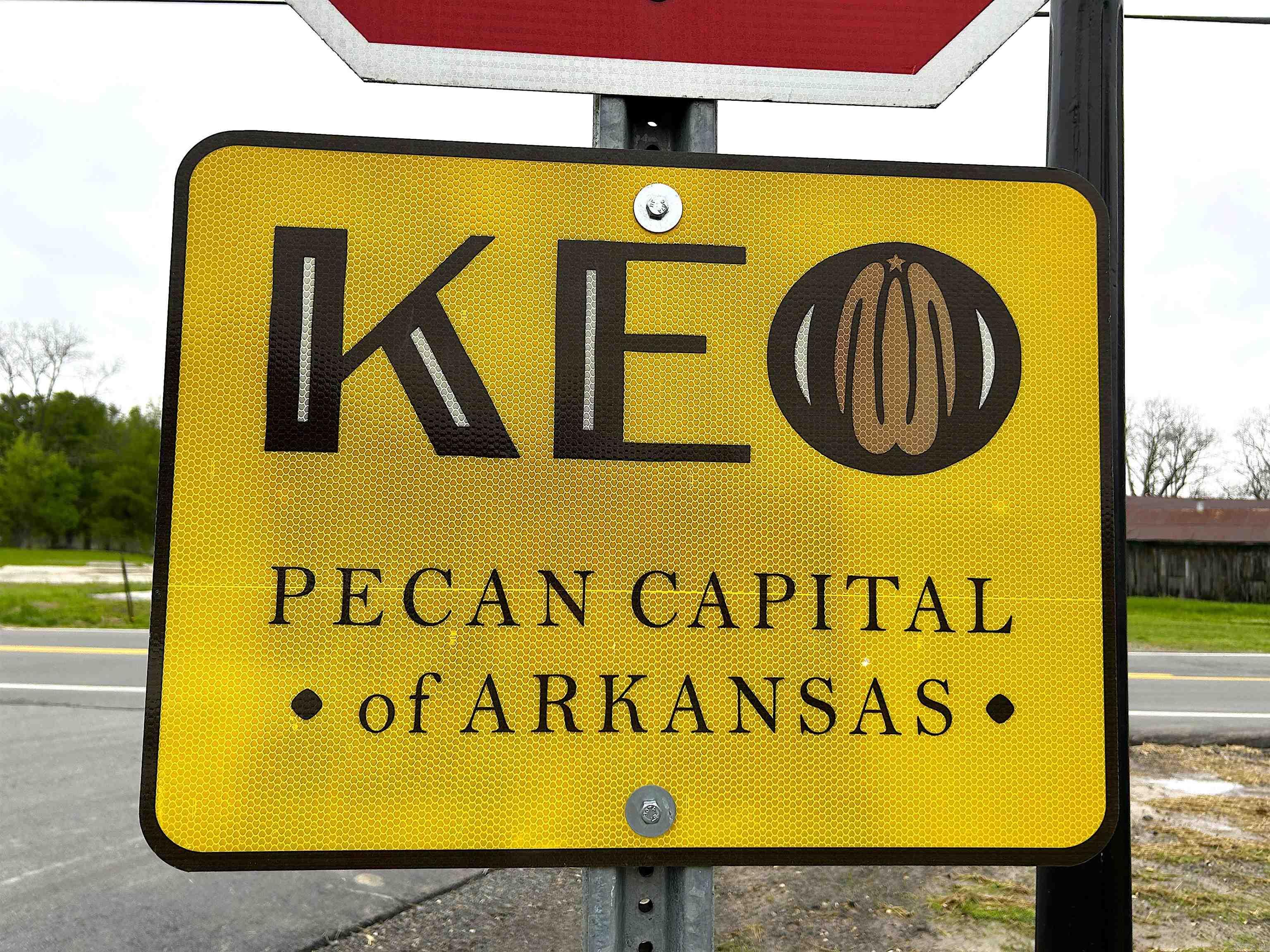 80 CHAPEL Road Keo, AR 72083
