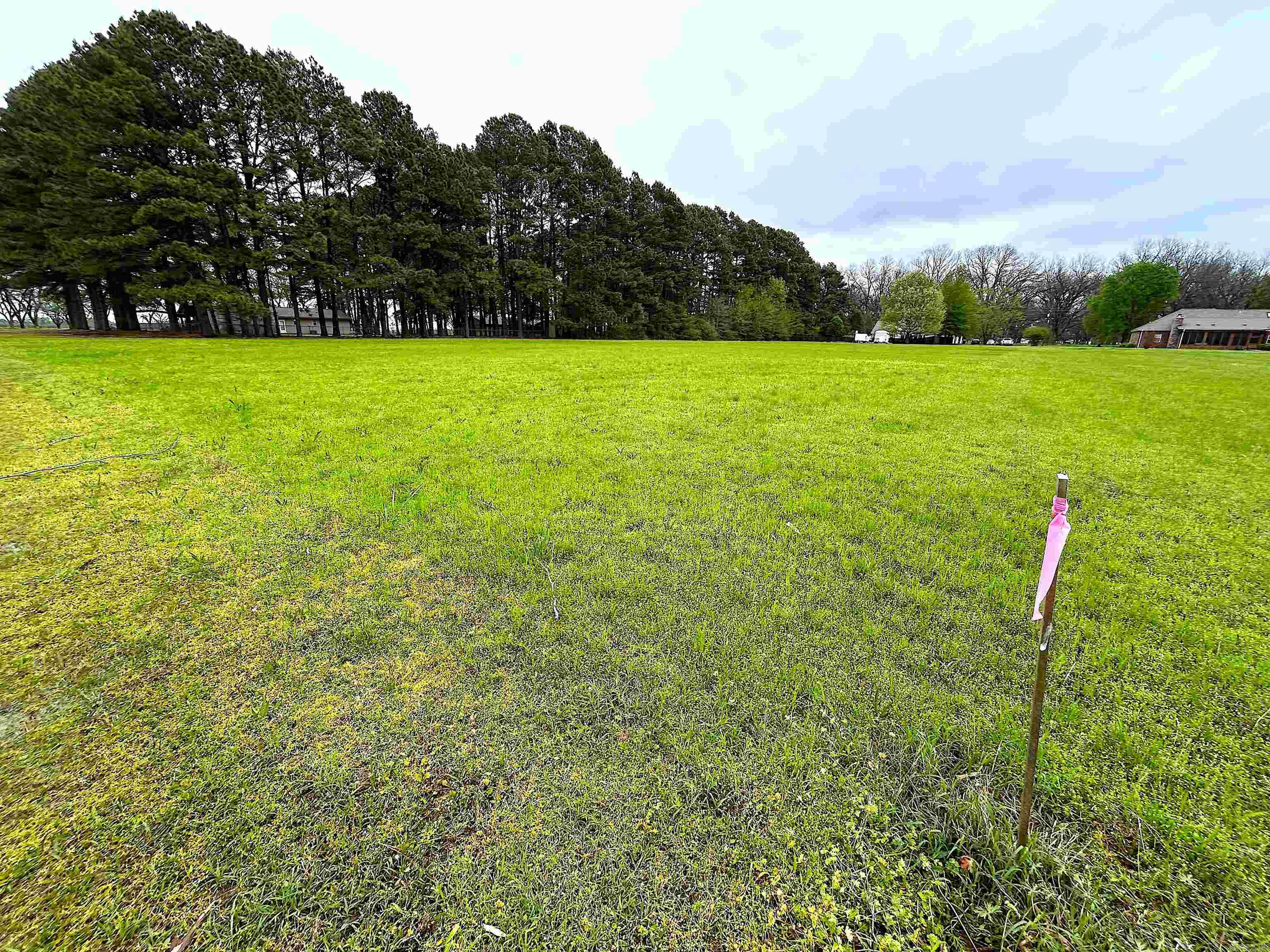 80 CHAPEL Road Keo, AR 72083