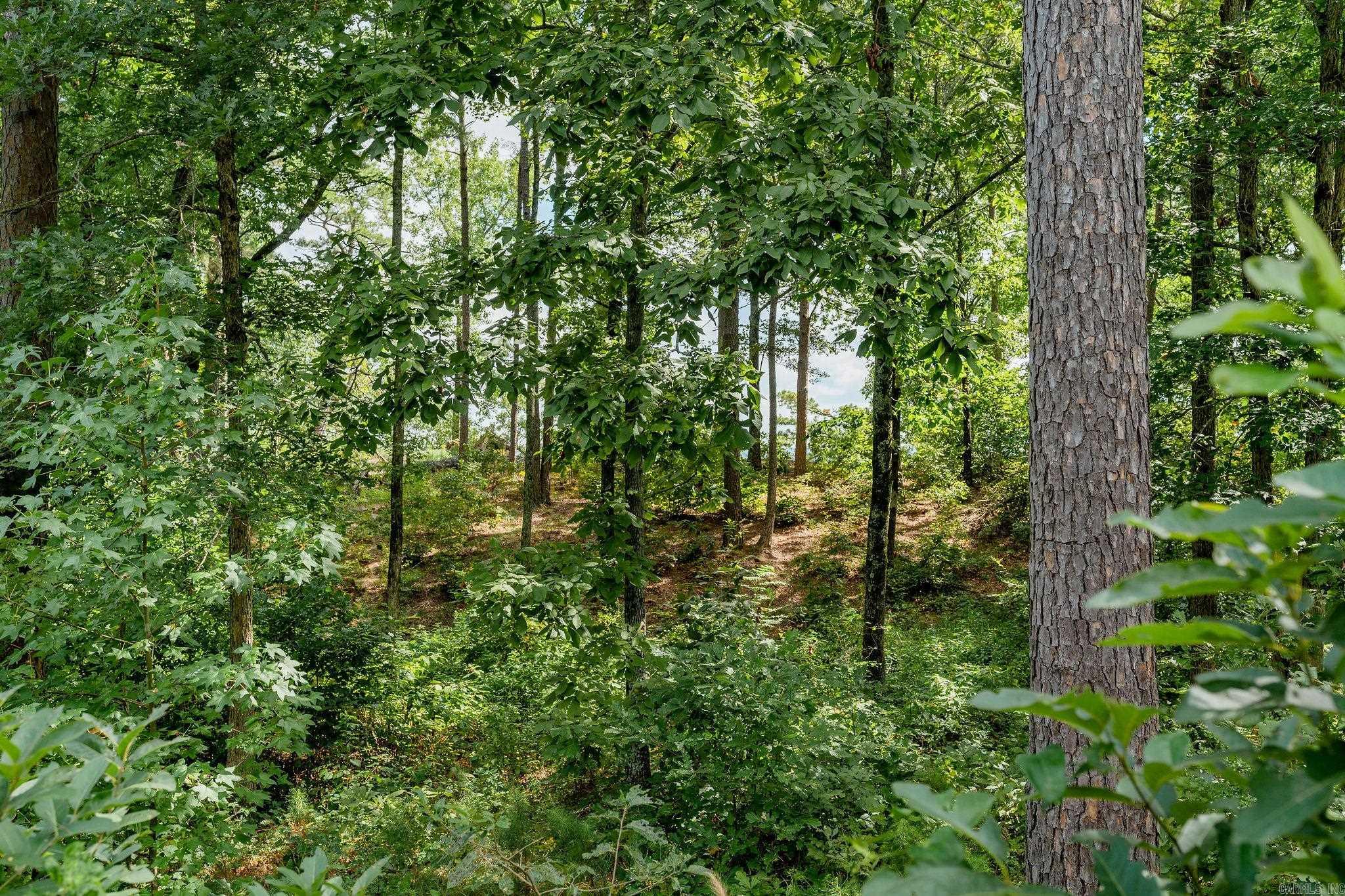 Lot 12  Little Red River Dr  Searcy, AR