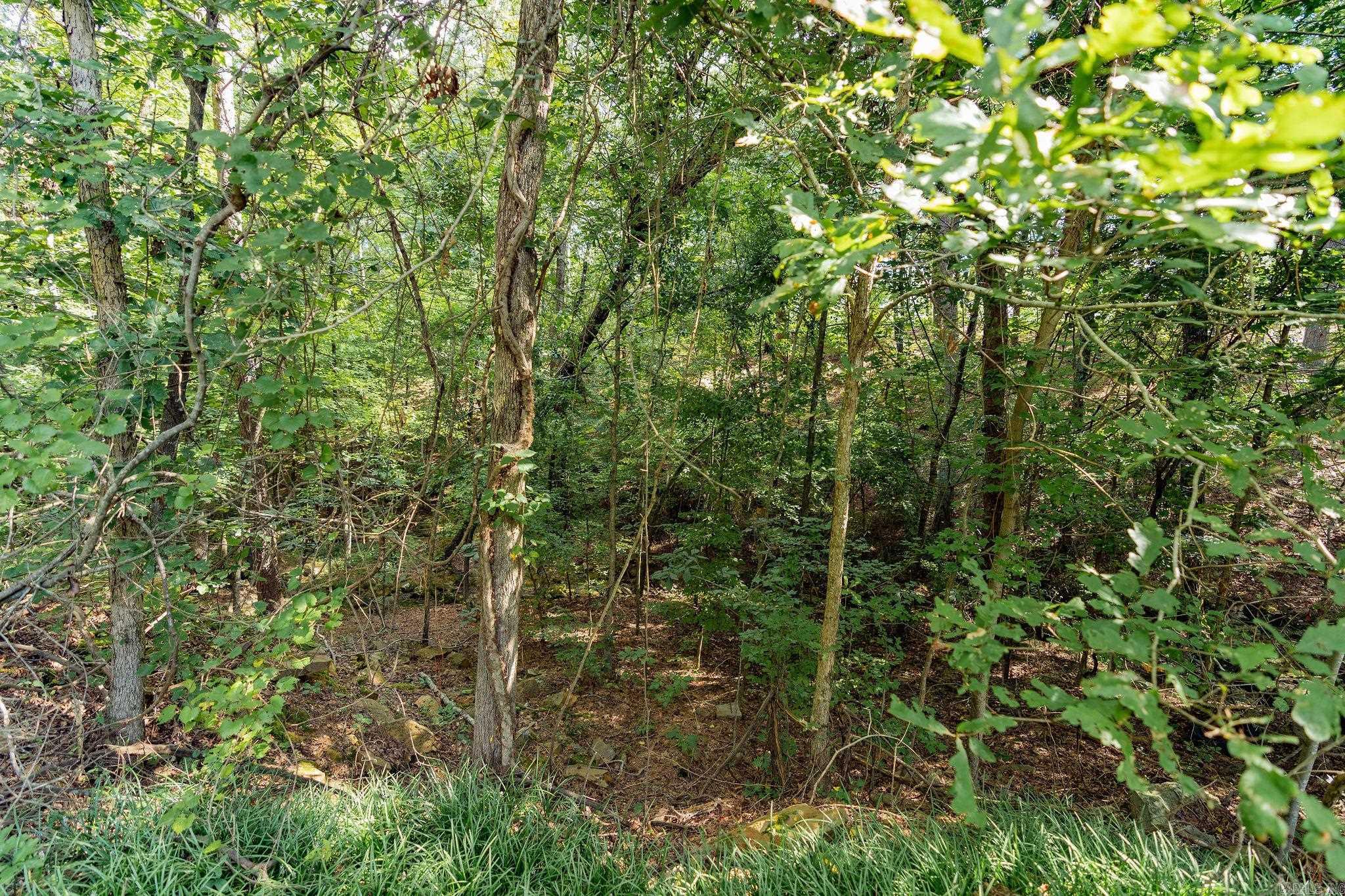 Lot 5  Little Red River Dr  Searcy, AR