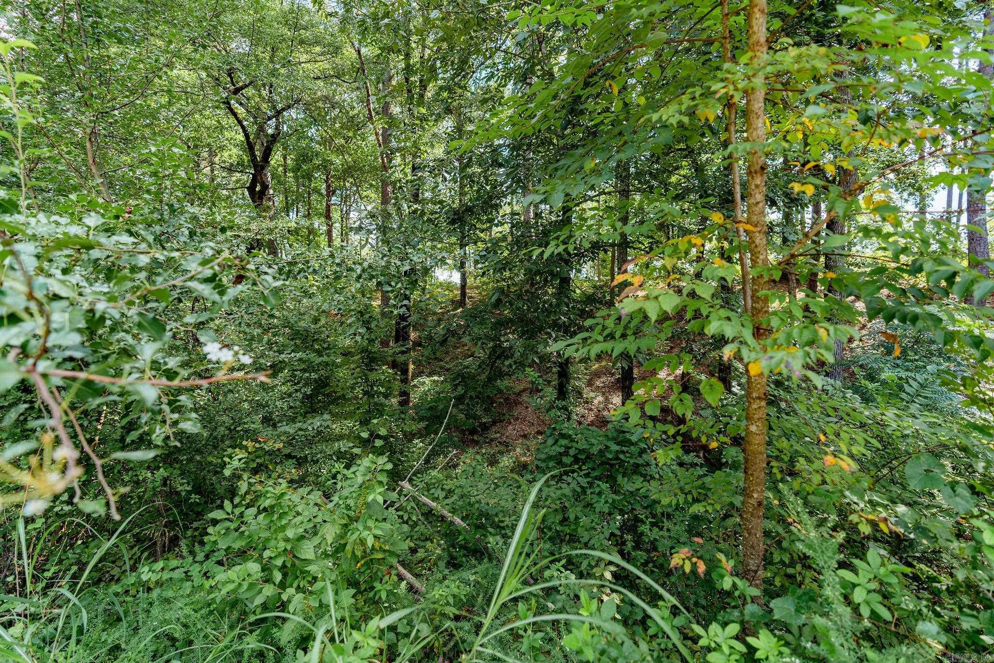 Lot 6  Little Red River Dr  Searcy, AR