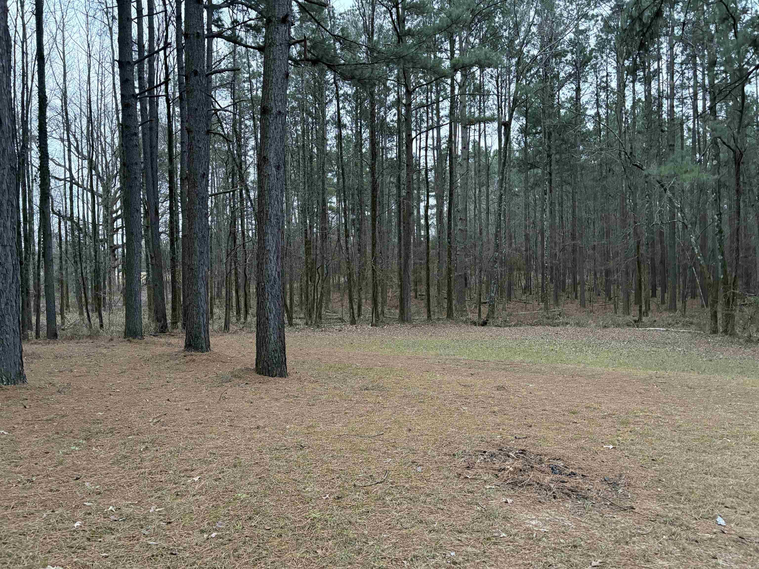 180  Glover Ln.  Rison, AR