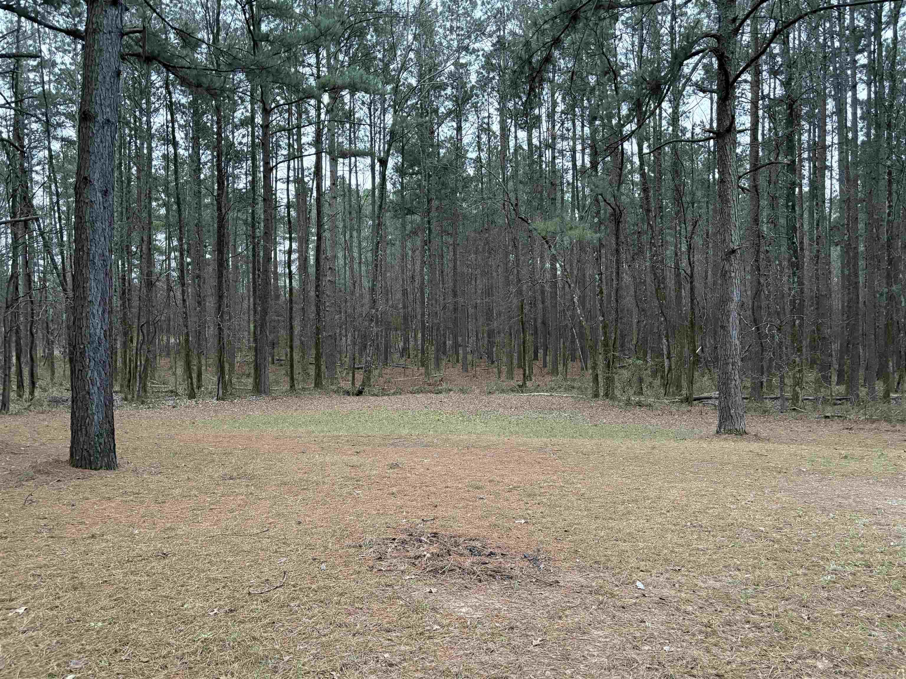 180  Glover Ln.  Rison, AR