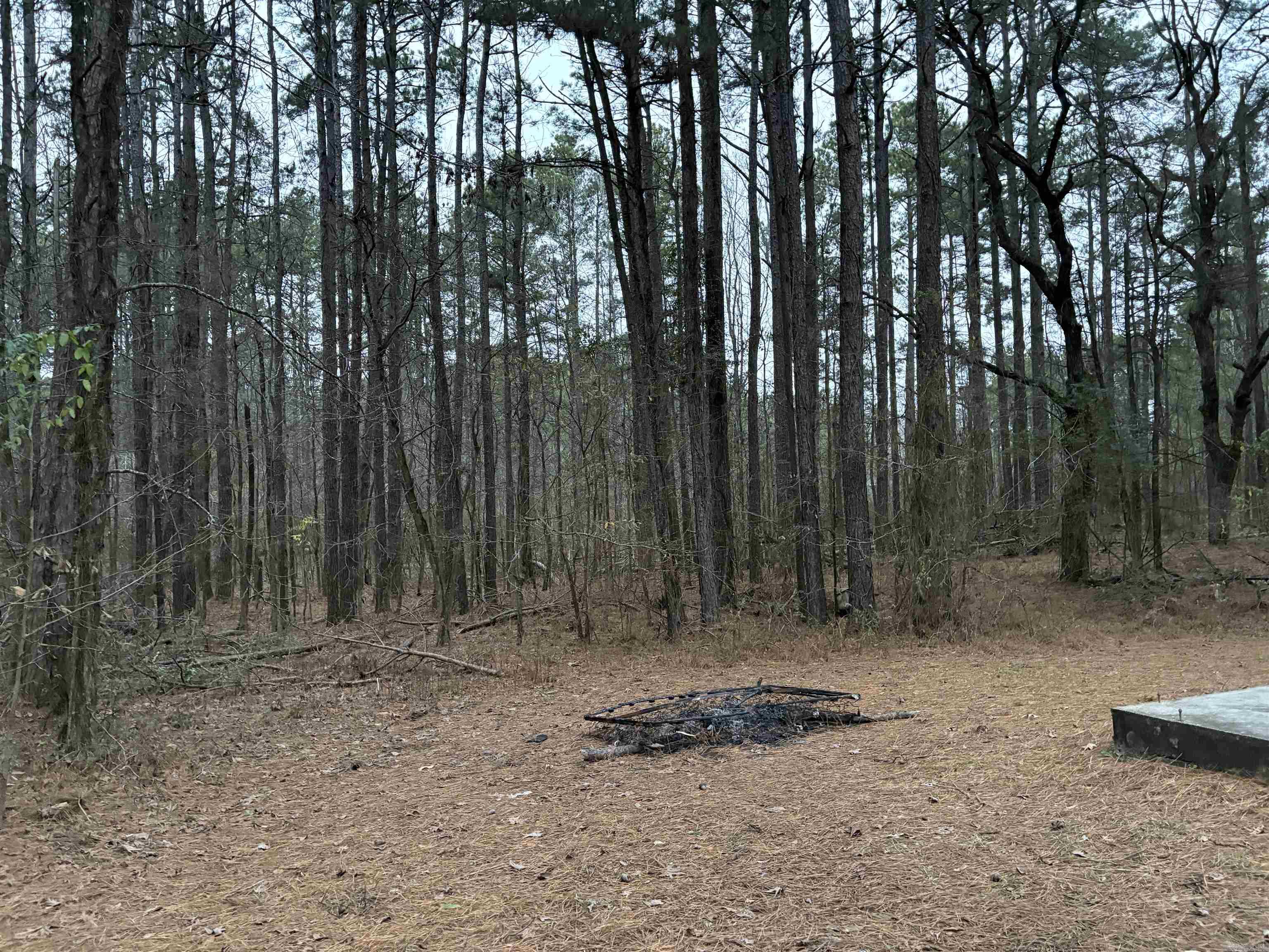 180  Glover Ln.  Rison, AR