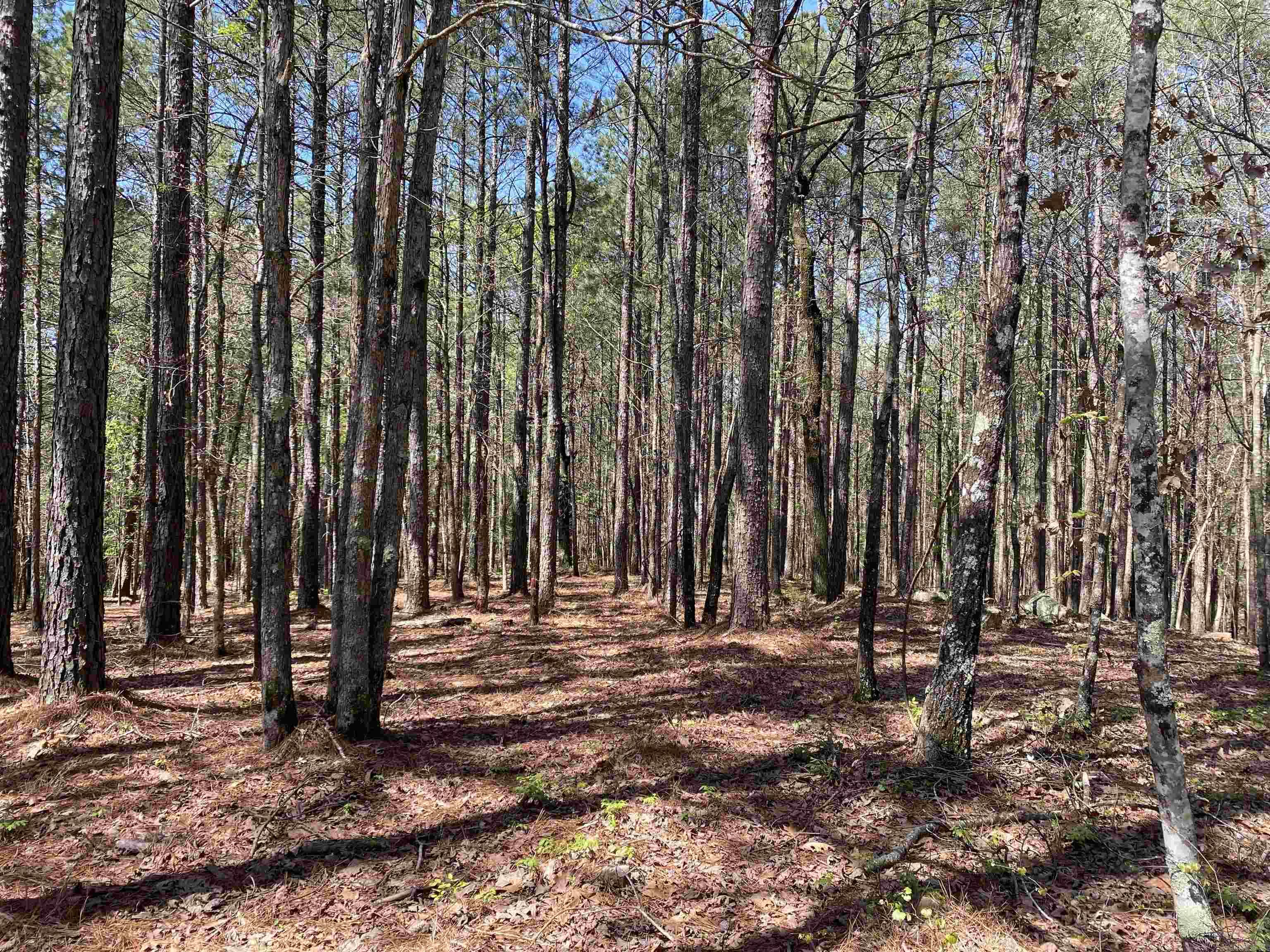 TBD  Woodland Springs  Mount Ida, AR