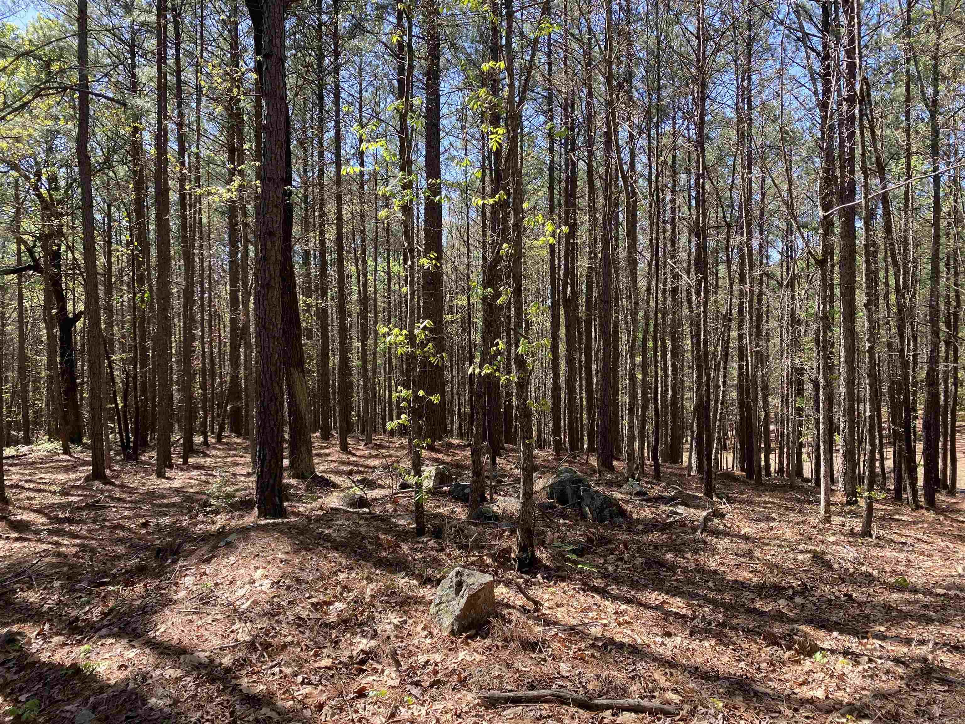 TBD  Woodland Springs  Mount Ida, AR