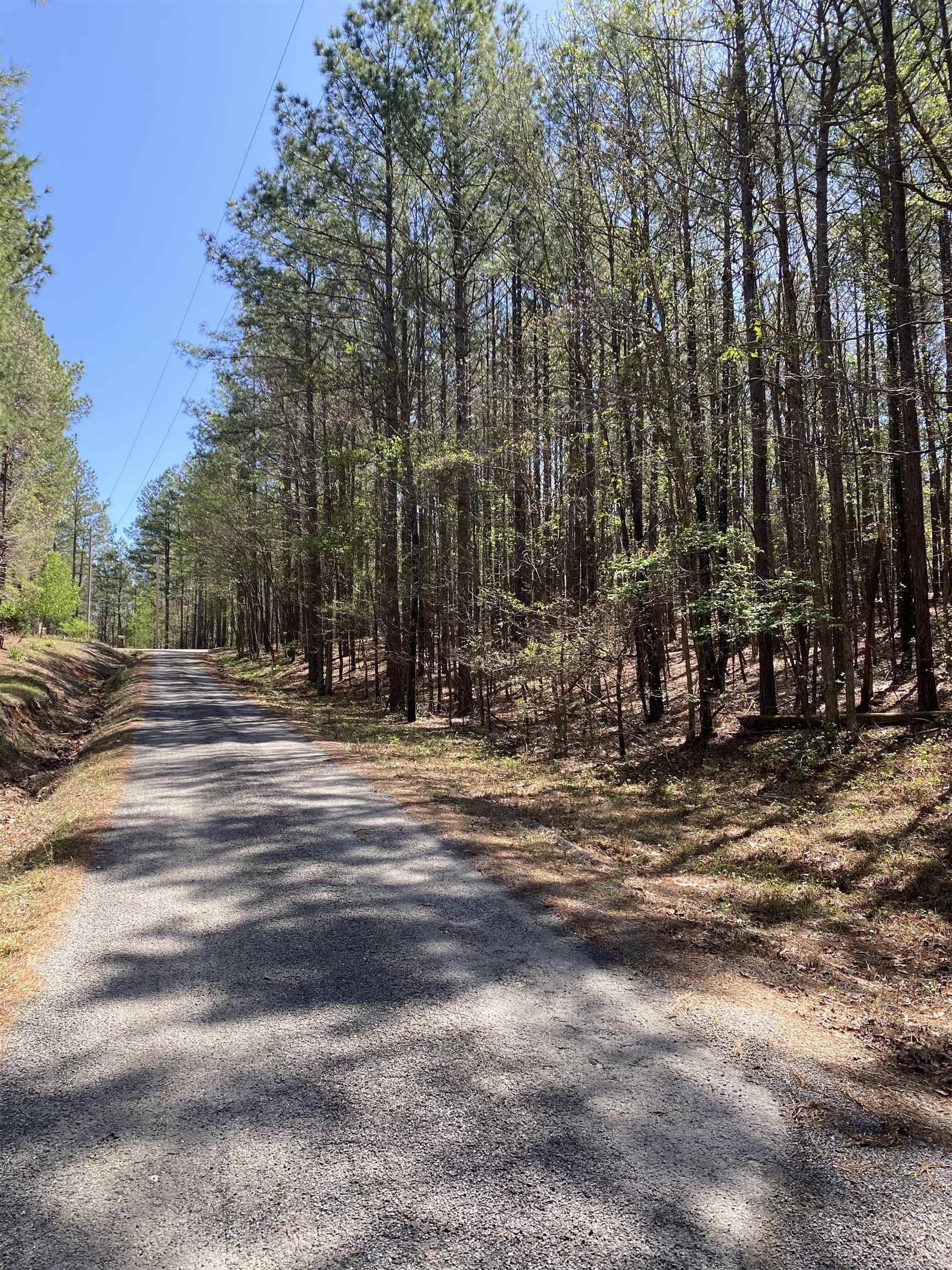 TBD  Woodland Springs  Mount Ida, AR