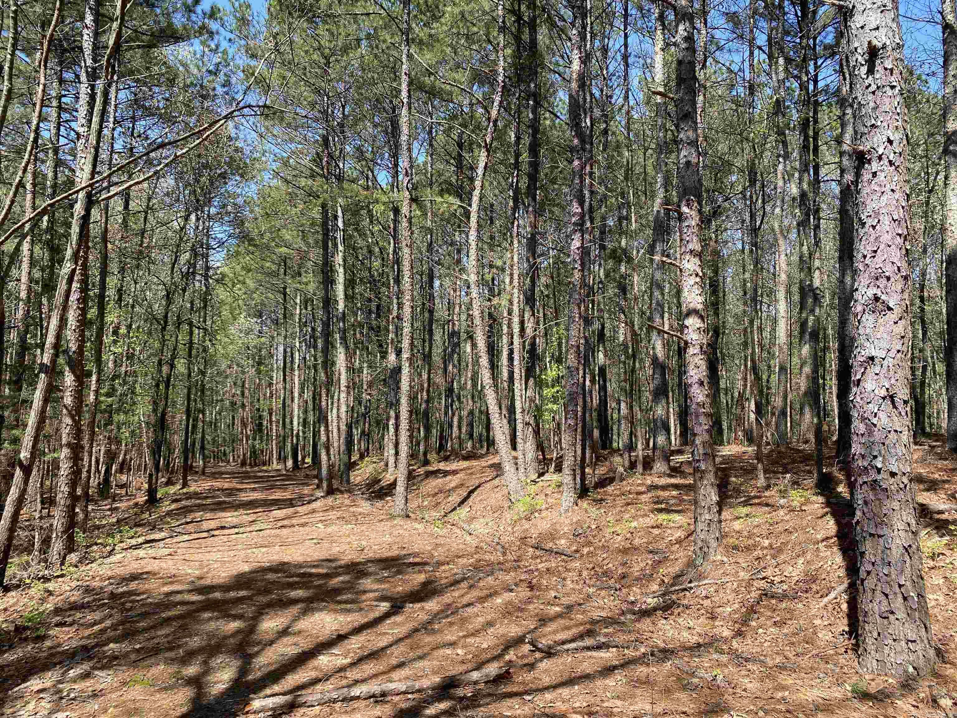 TBD  Woodland Springs  Mount Ida, AR