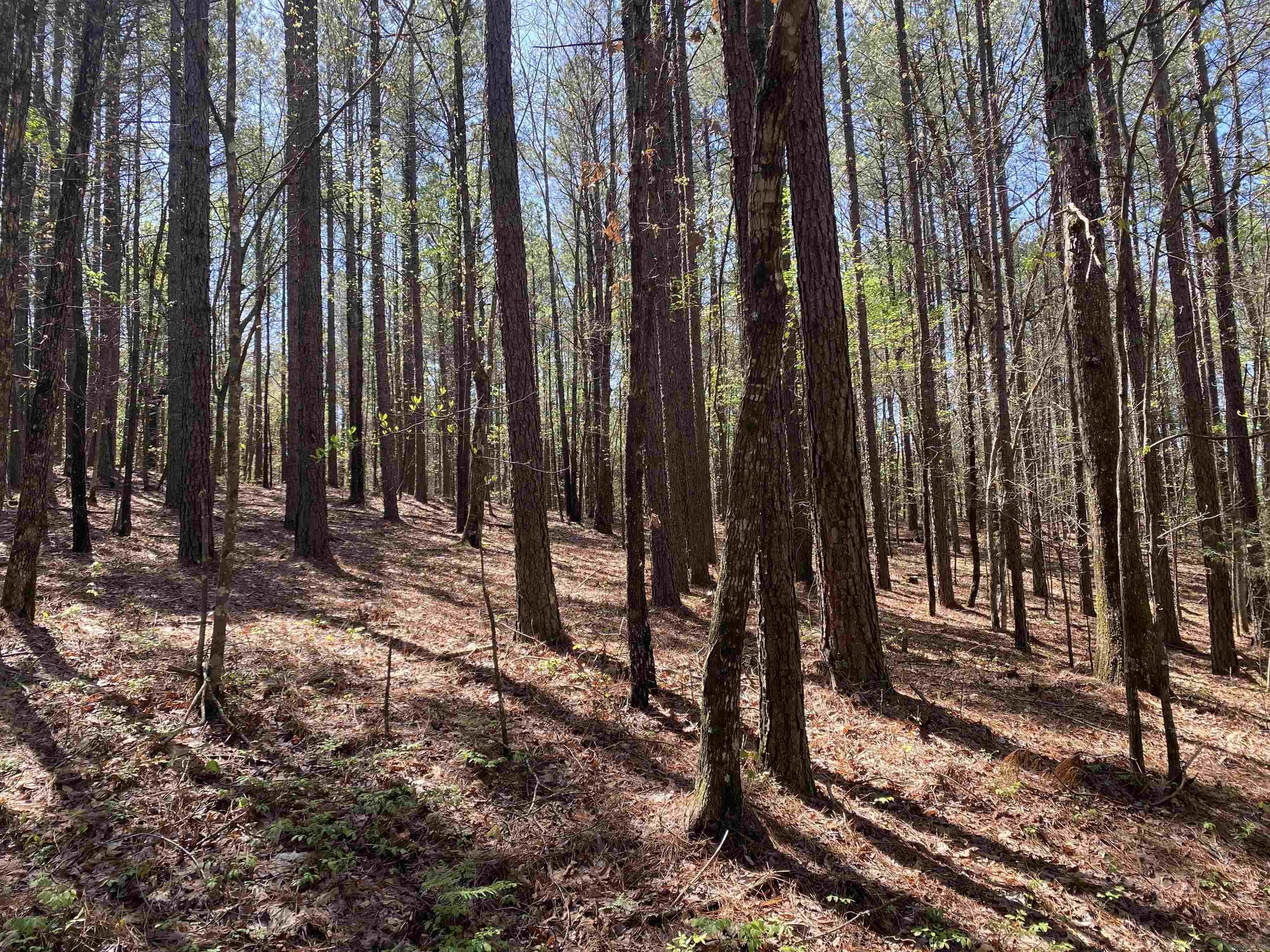 TBD  Woodland Springs  Mount Ida, AR