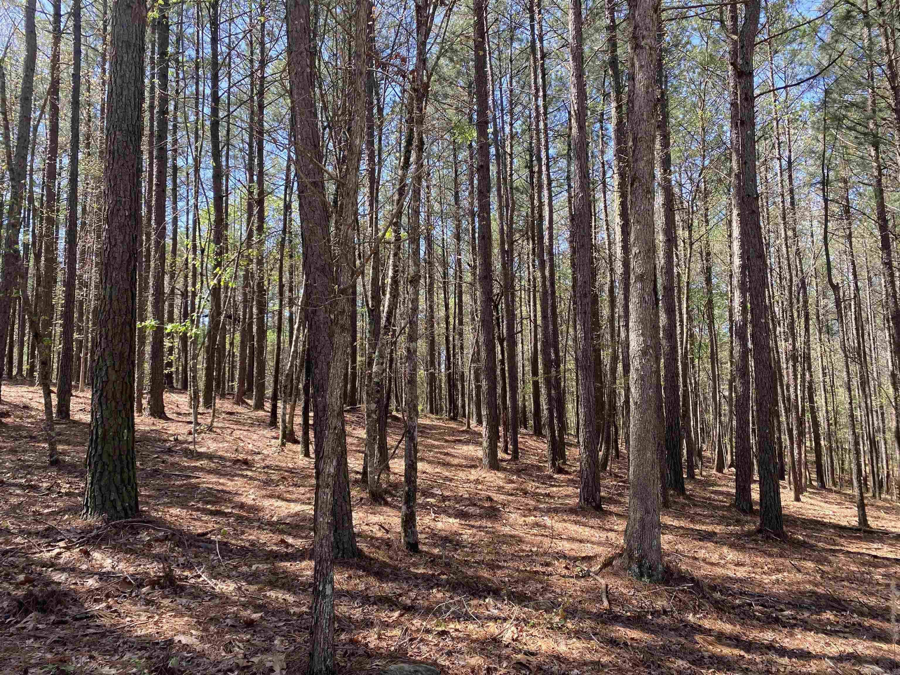 TBD  Woodland Springs  Mount Ida, AR
