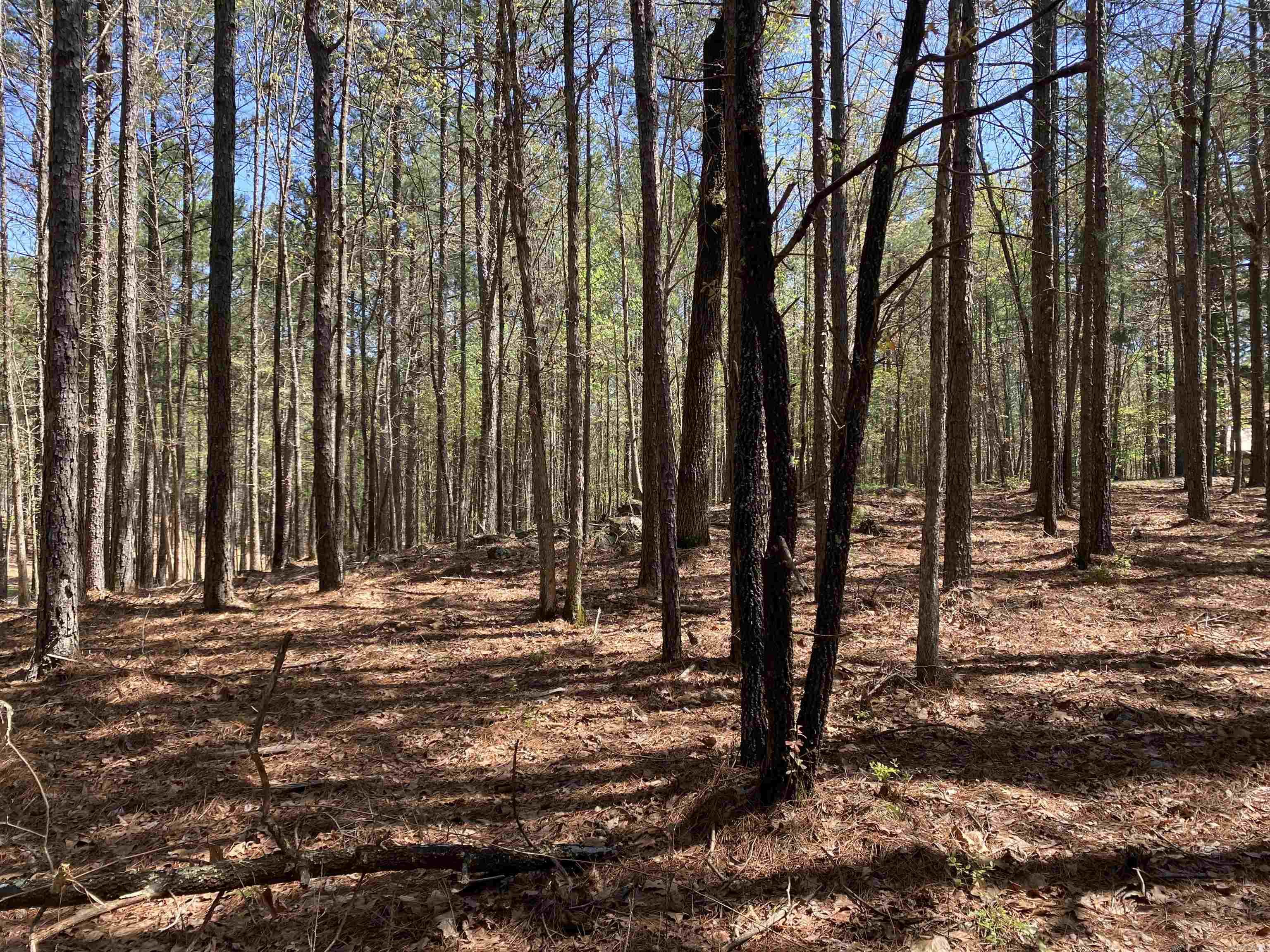 TBD  Woodland Springs  Mount Ida, AR