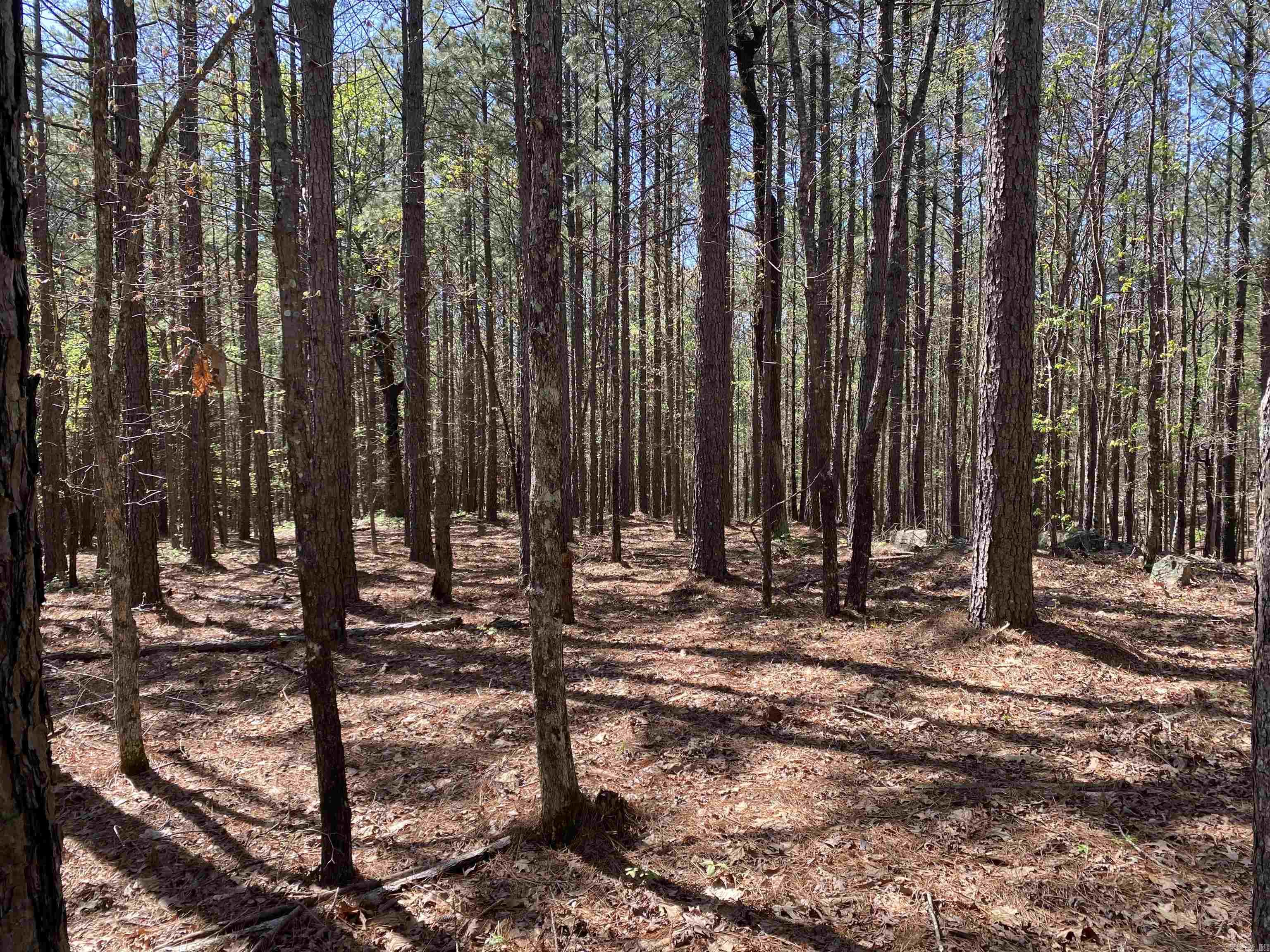 TBD  Woodland Springs  Mount Ida, AR