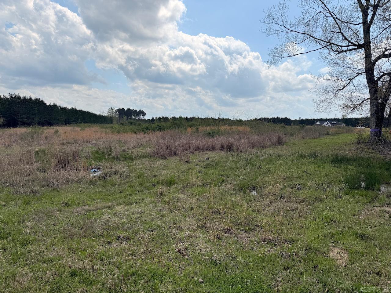   Hwy 172  Monticello, AR
