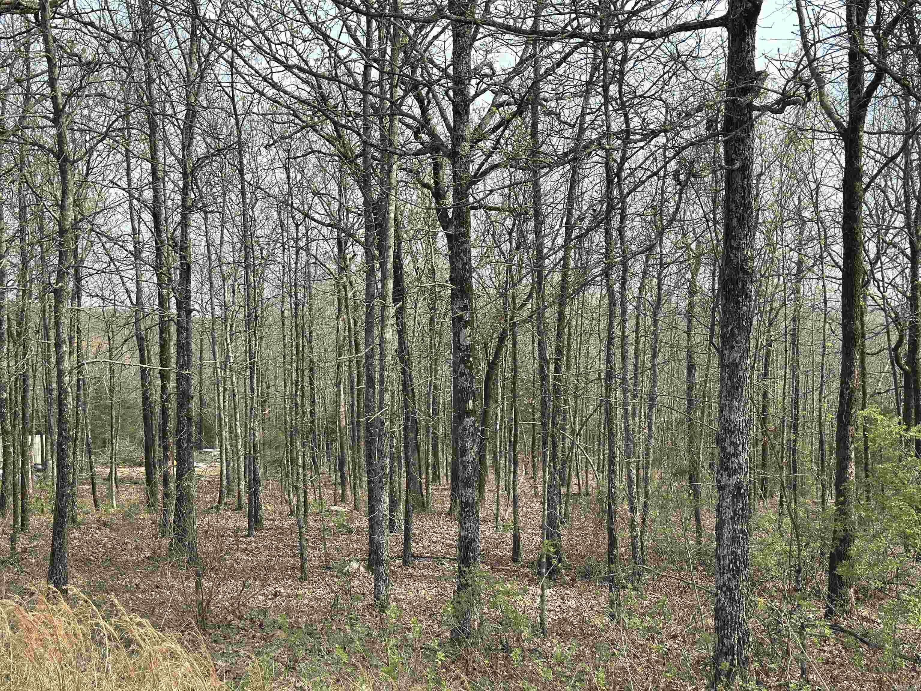 Lot 2  Kenzie Rd/Rocky Branch Estates  Beebe, AR