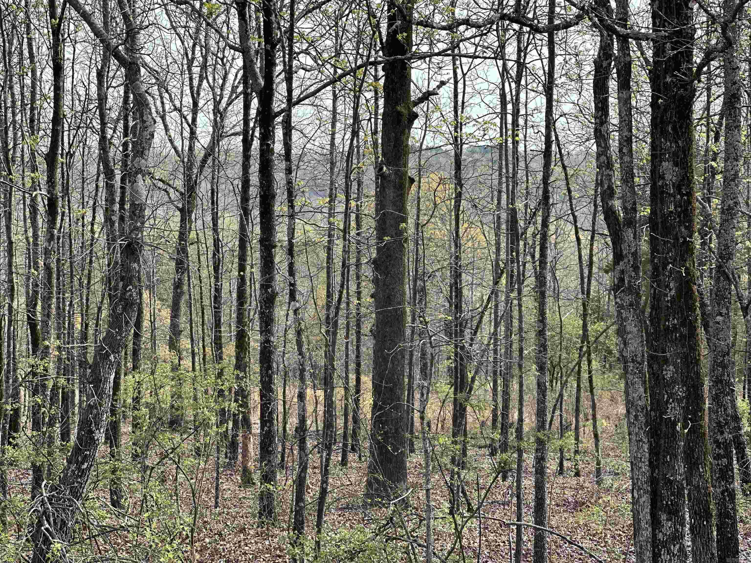 Lot 2  Kenzie Rd/Rocky Branch Estates  Beebe, AR