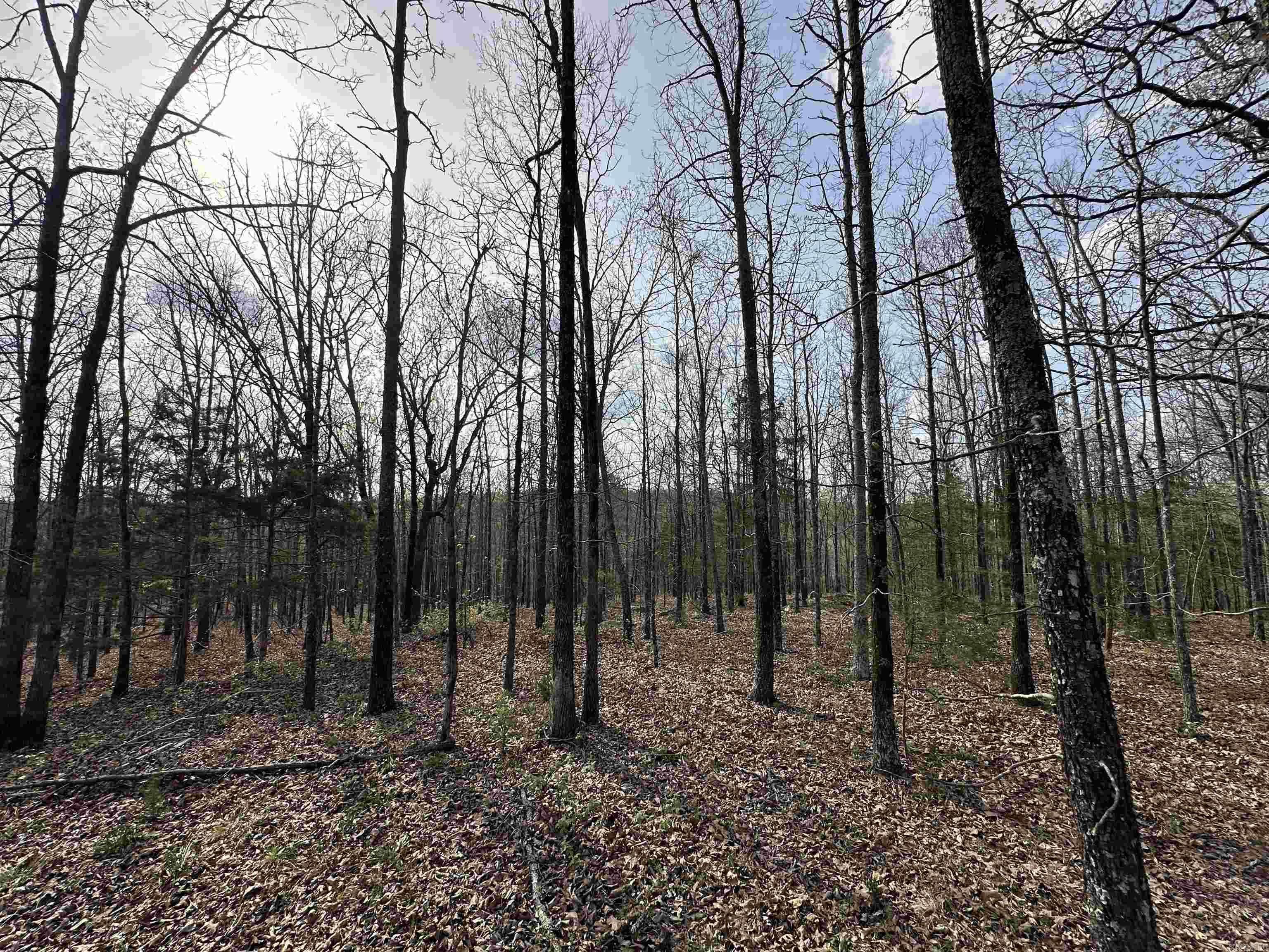 Lot 5  Kenzie Cv/Rocky Branch Estates  Beebe, AR