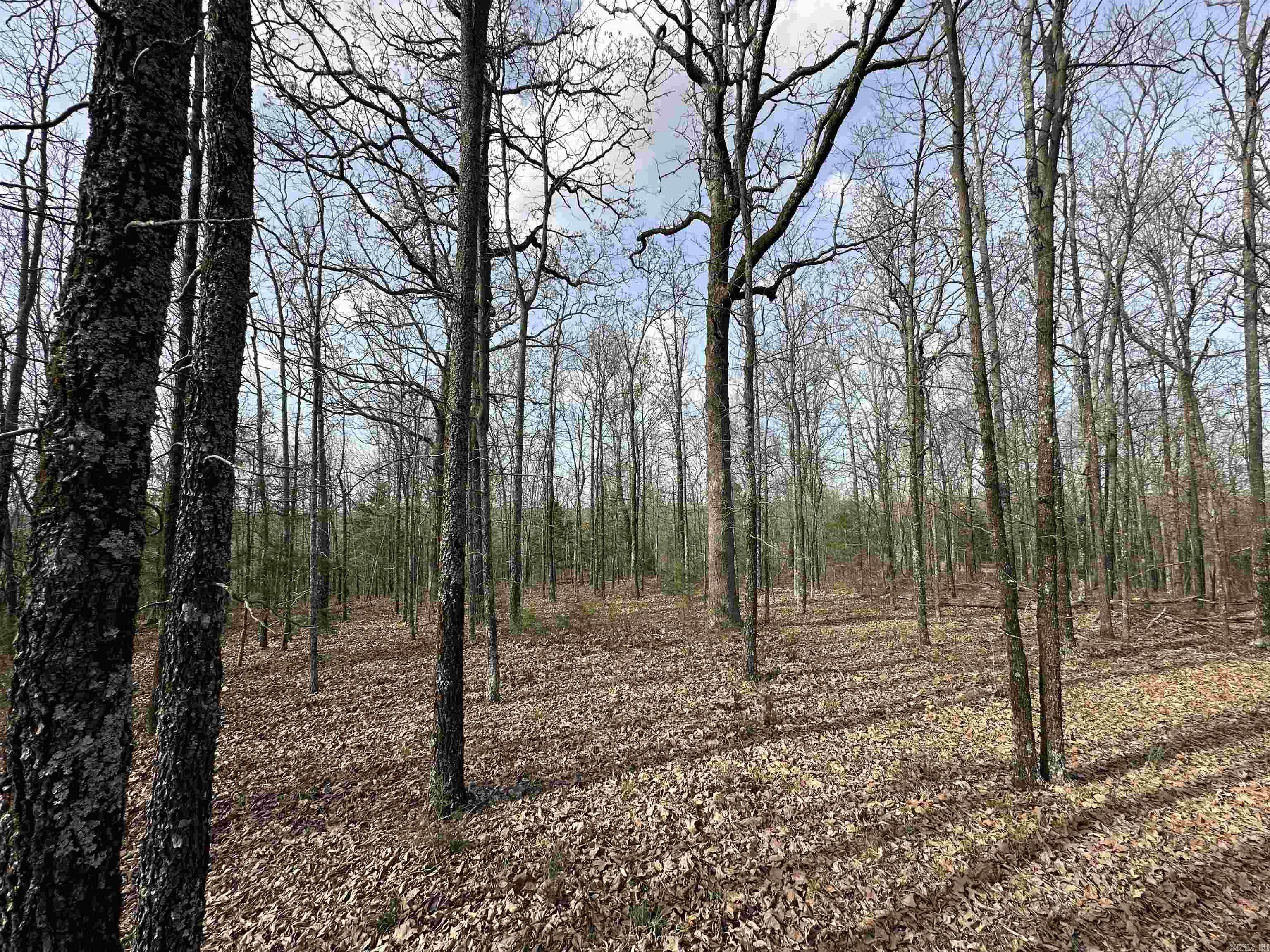 Lot 5  Kenzie Cv/Rocky Branch Estates  Beebe, AR