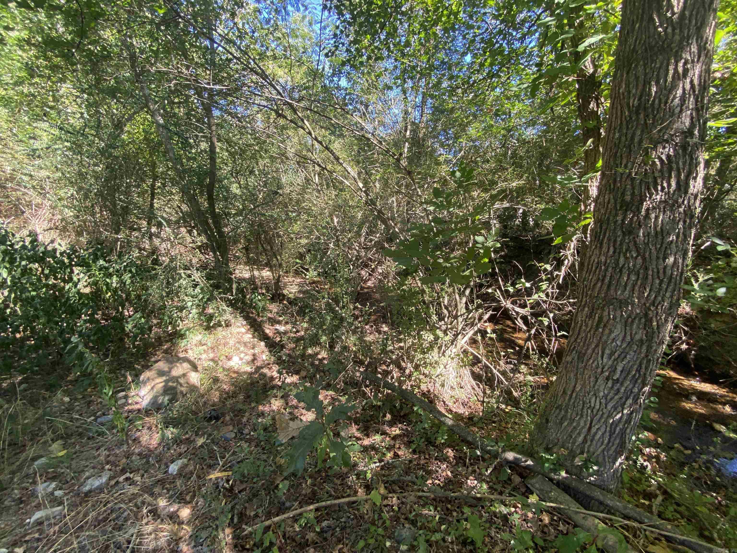 3736  Park  Hot Springs, AR
