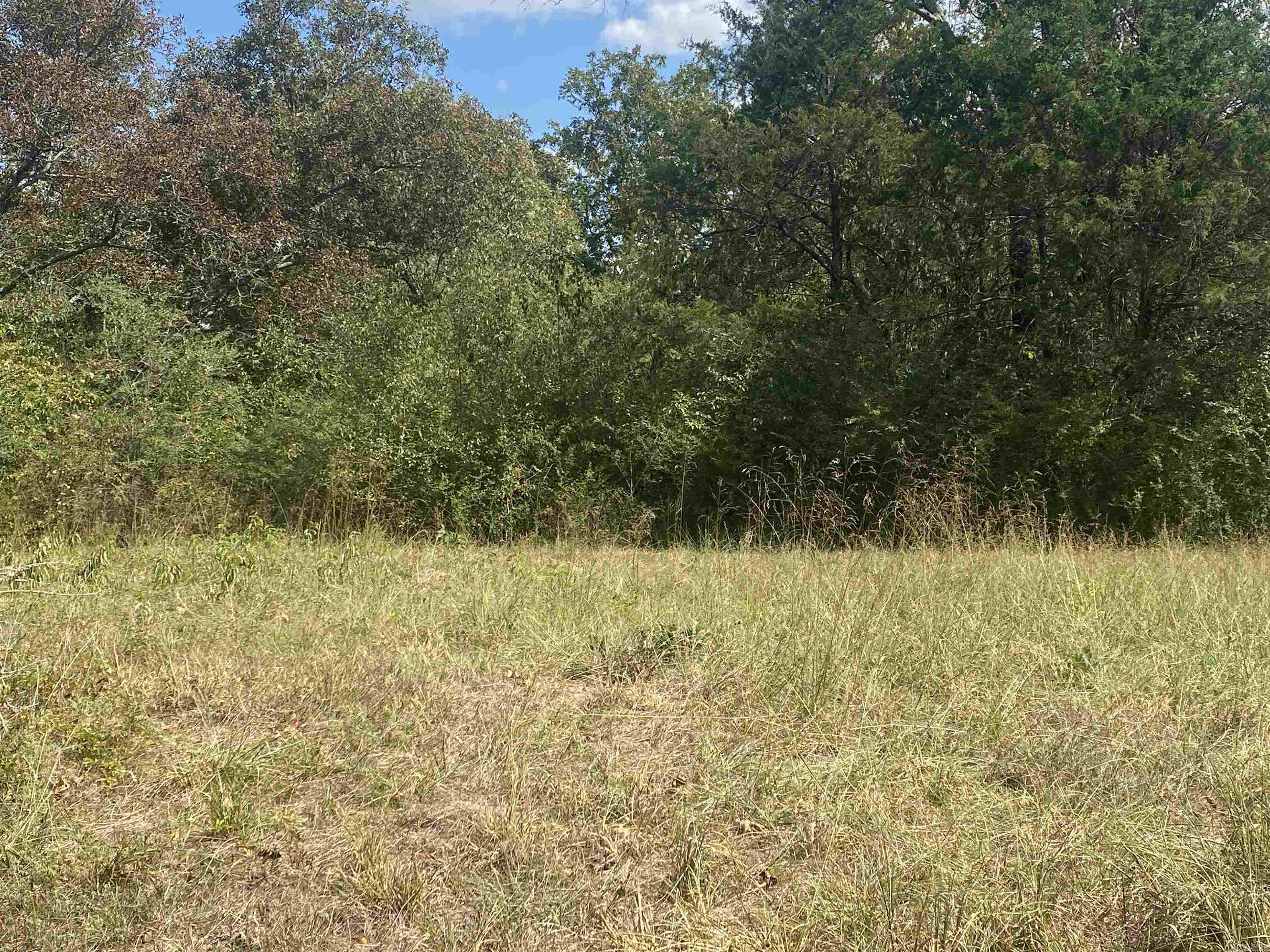 3088  Spring  Hot Springs, AR