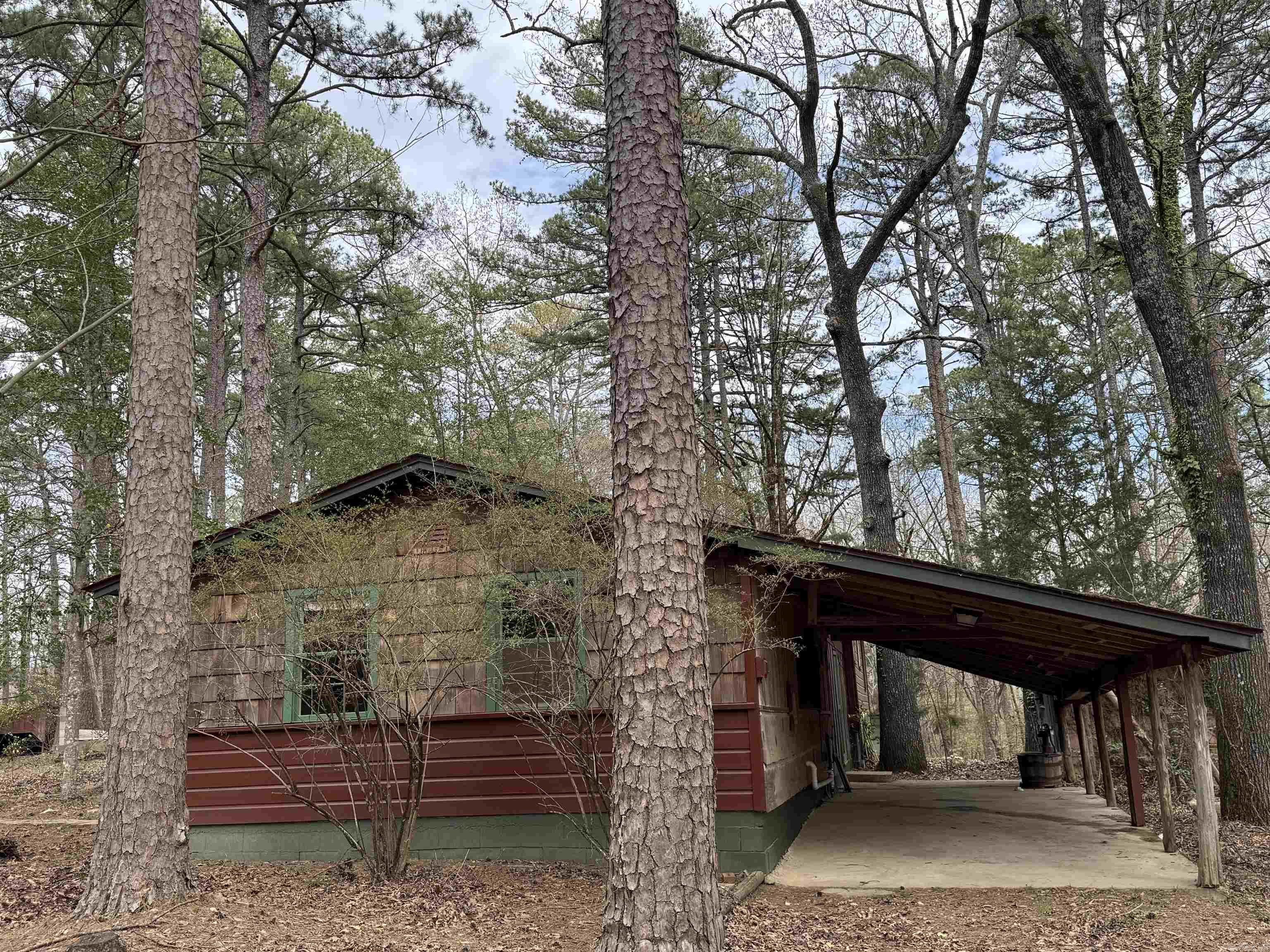 58  Trails End  Mount Ida, AR