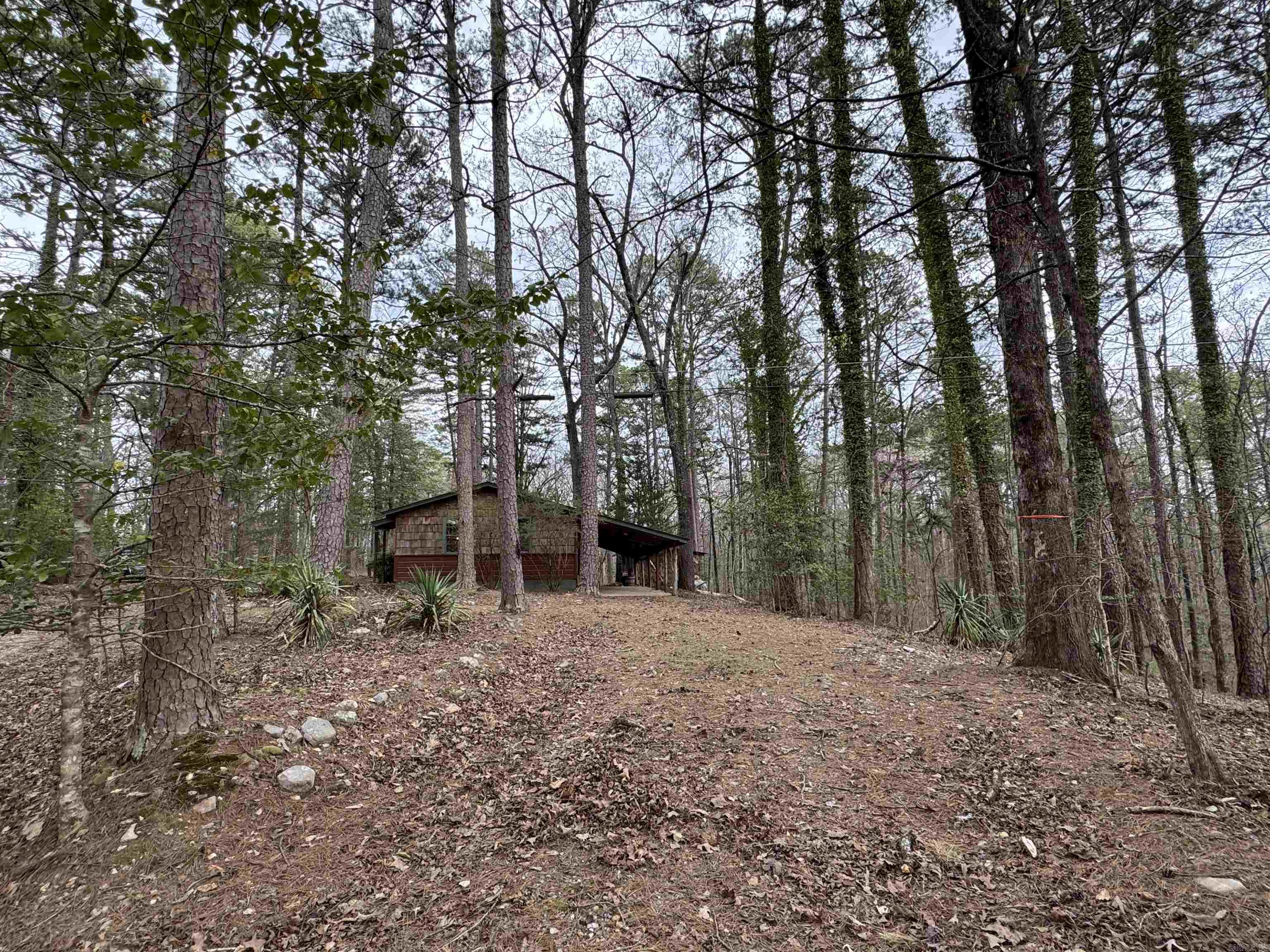 58  Trails End  Mount Ida, AR