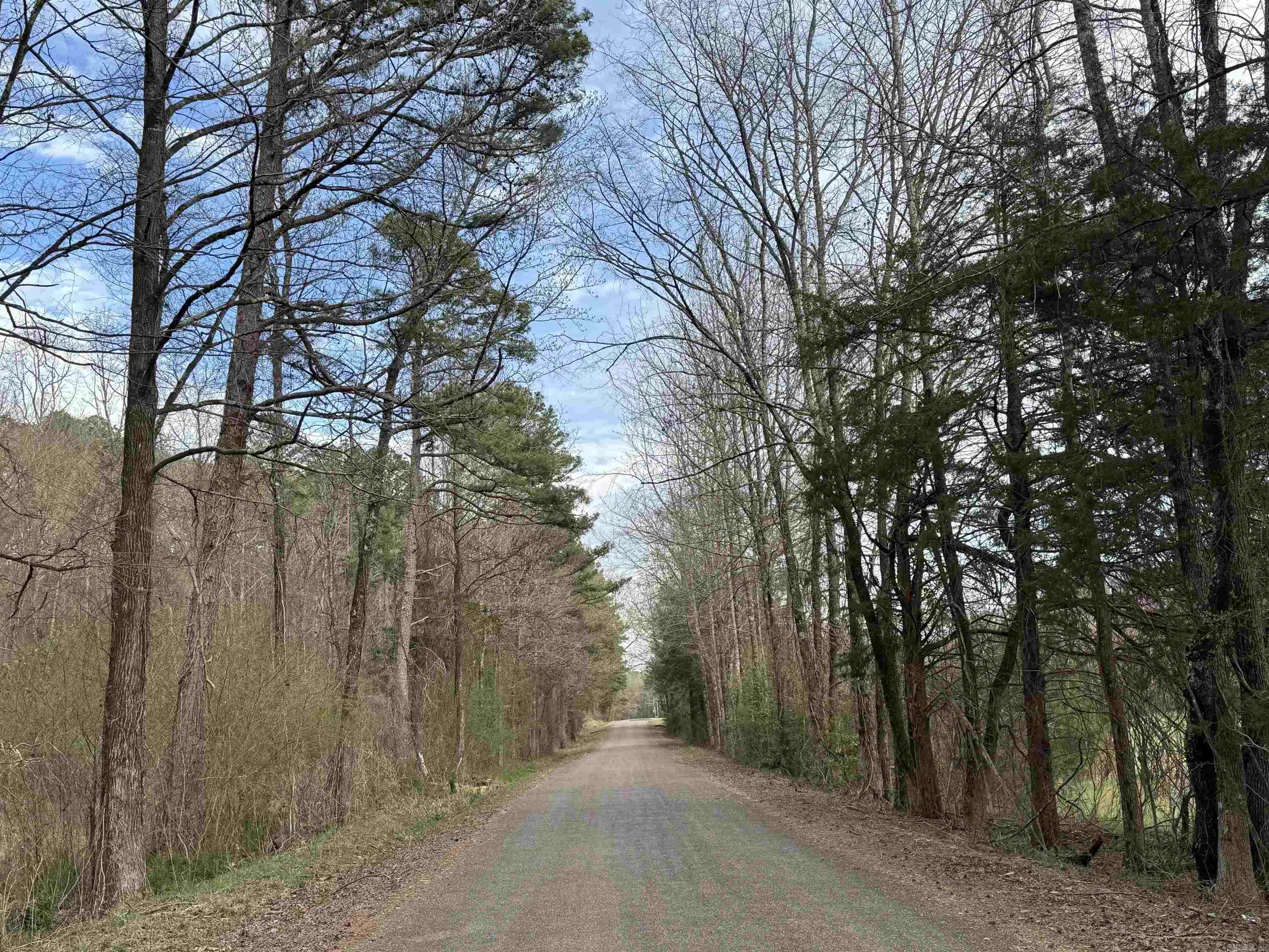 58  Trails End  Mount Ida, AR