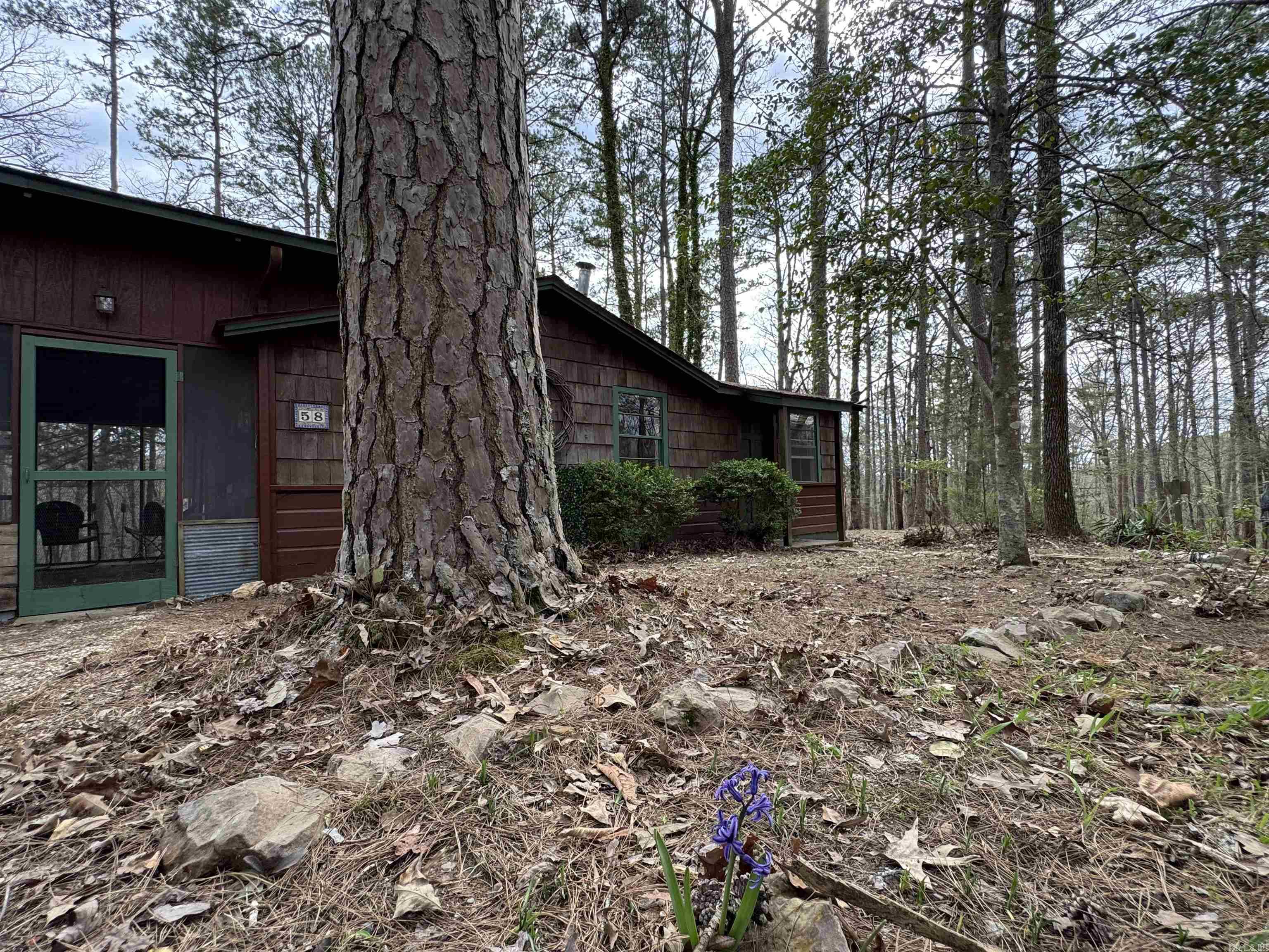 58  Trails End  Mount Ida, AR