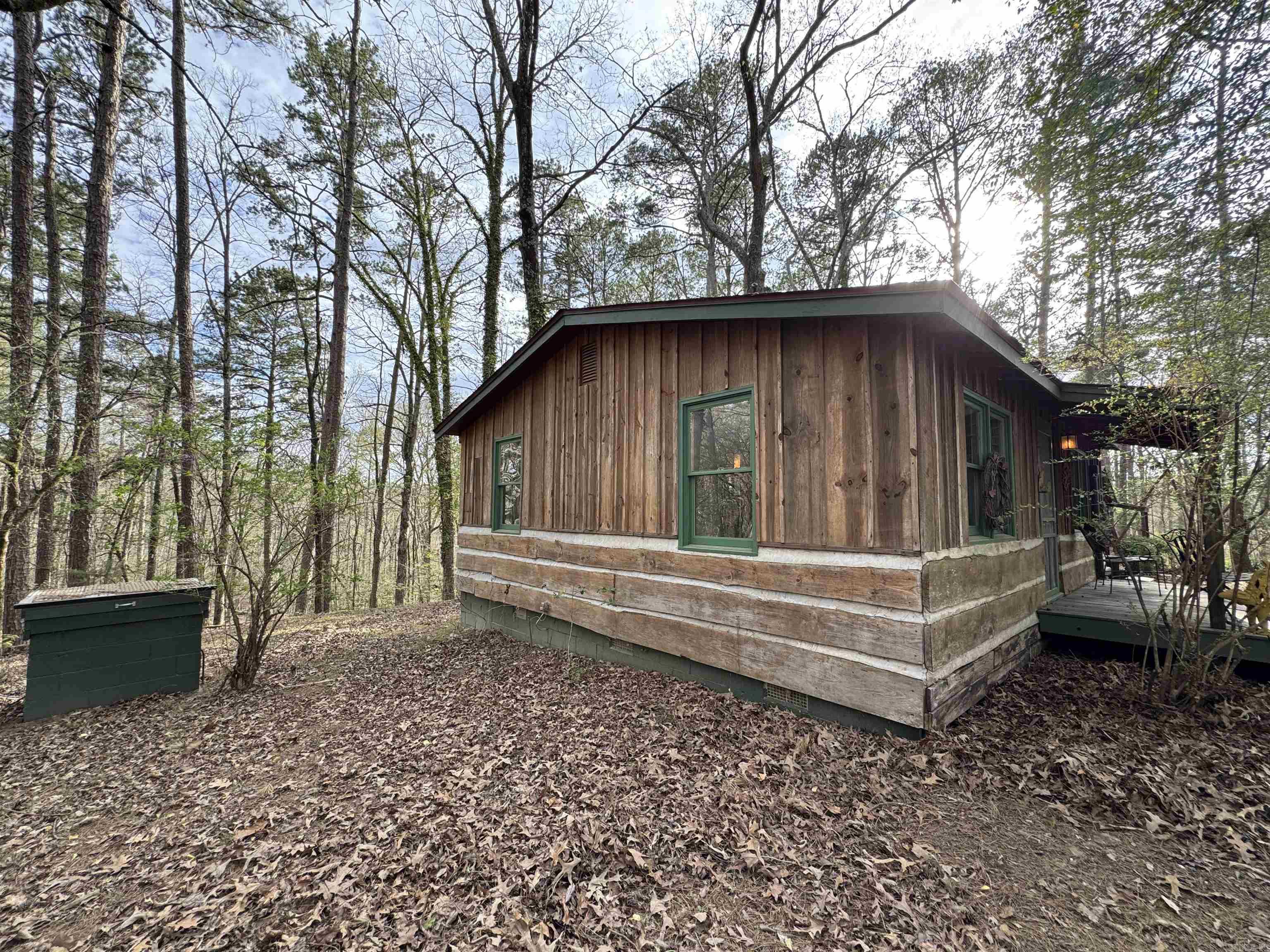 58  Trails End  Mount Ida, AR