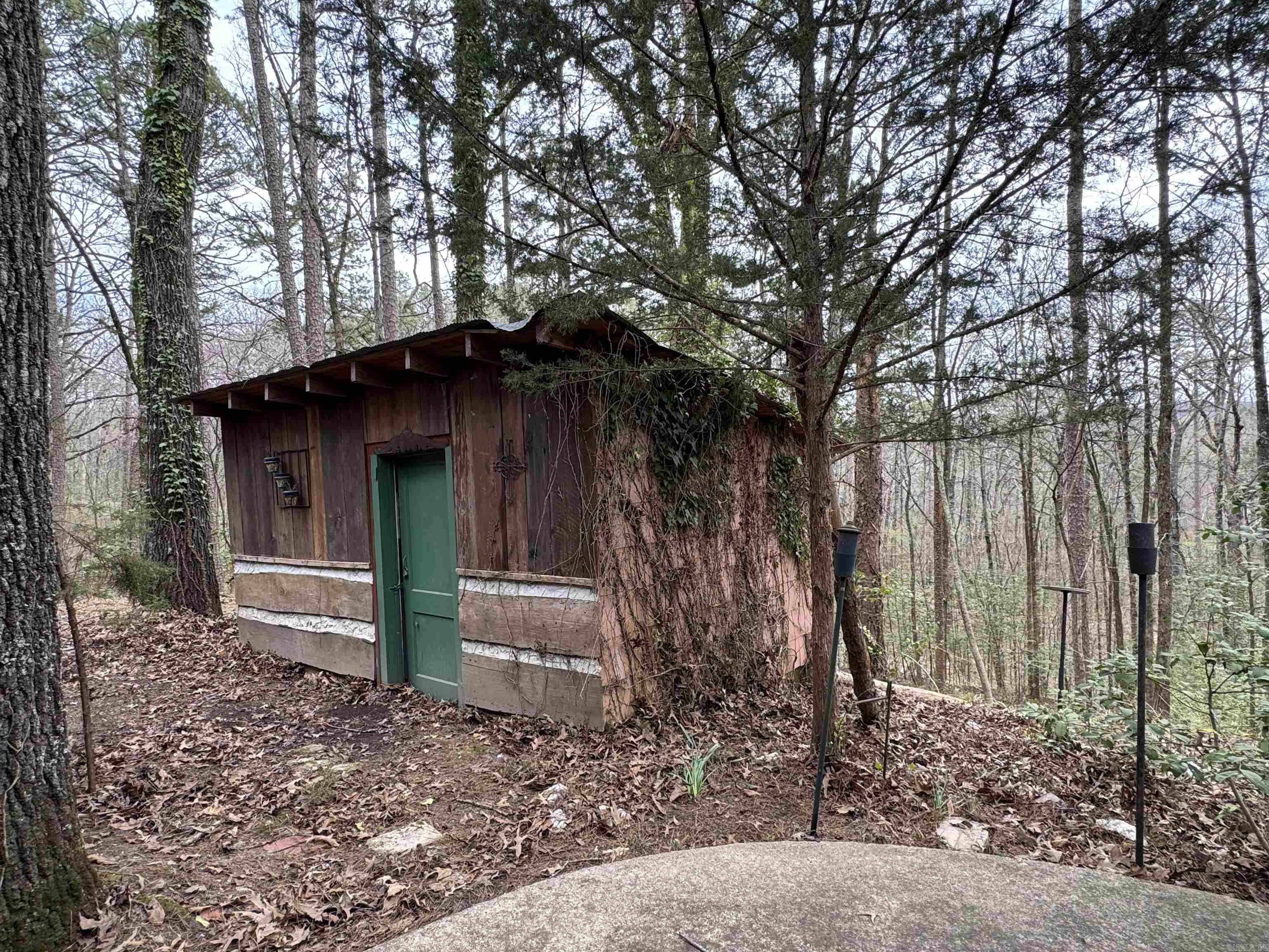 58  Trails End  Mount Ida, AR