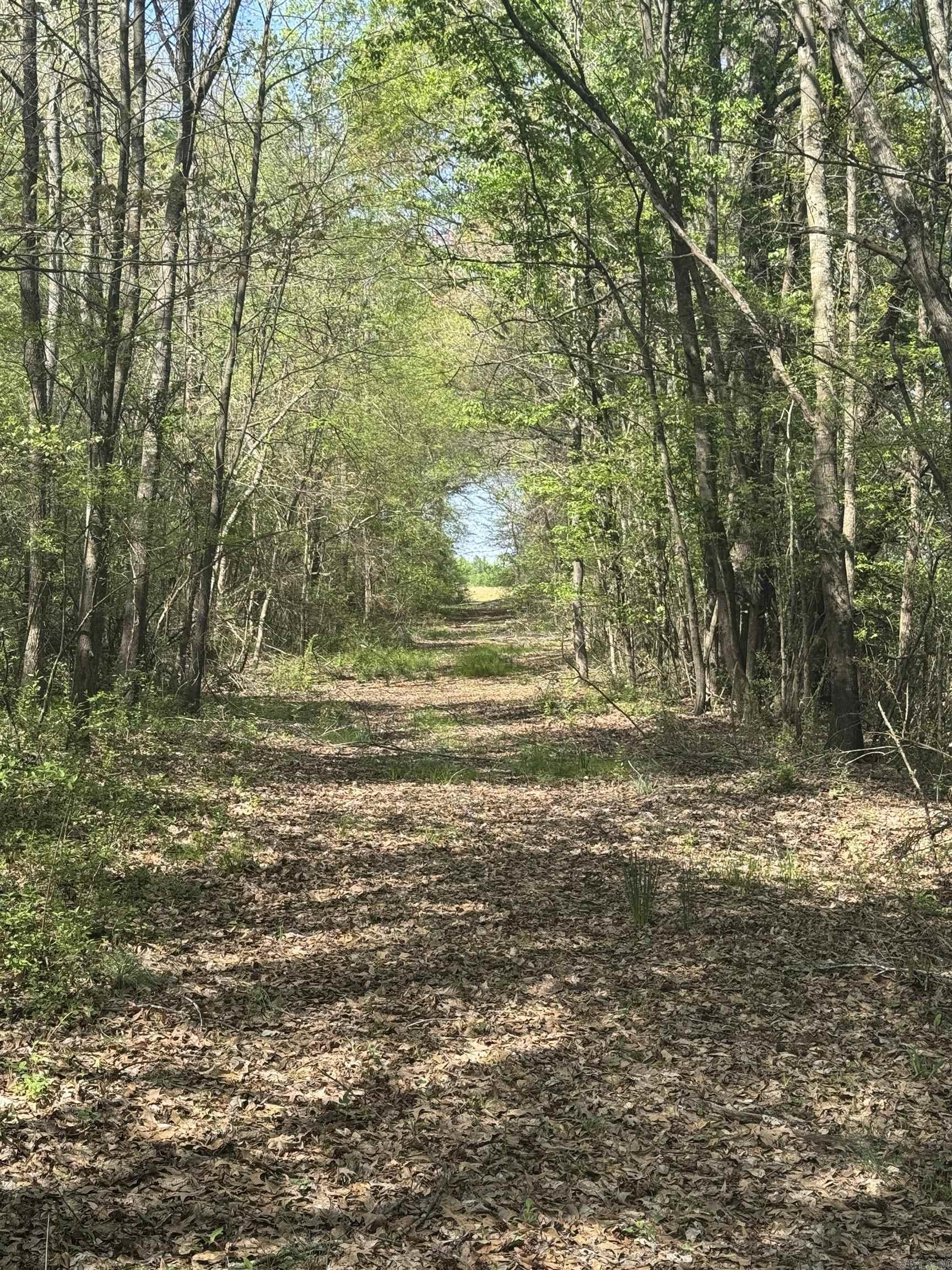 000  HWY 11  Griffithville, AR