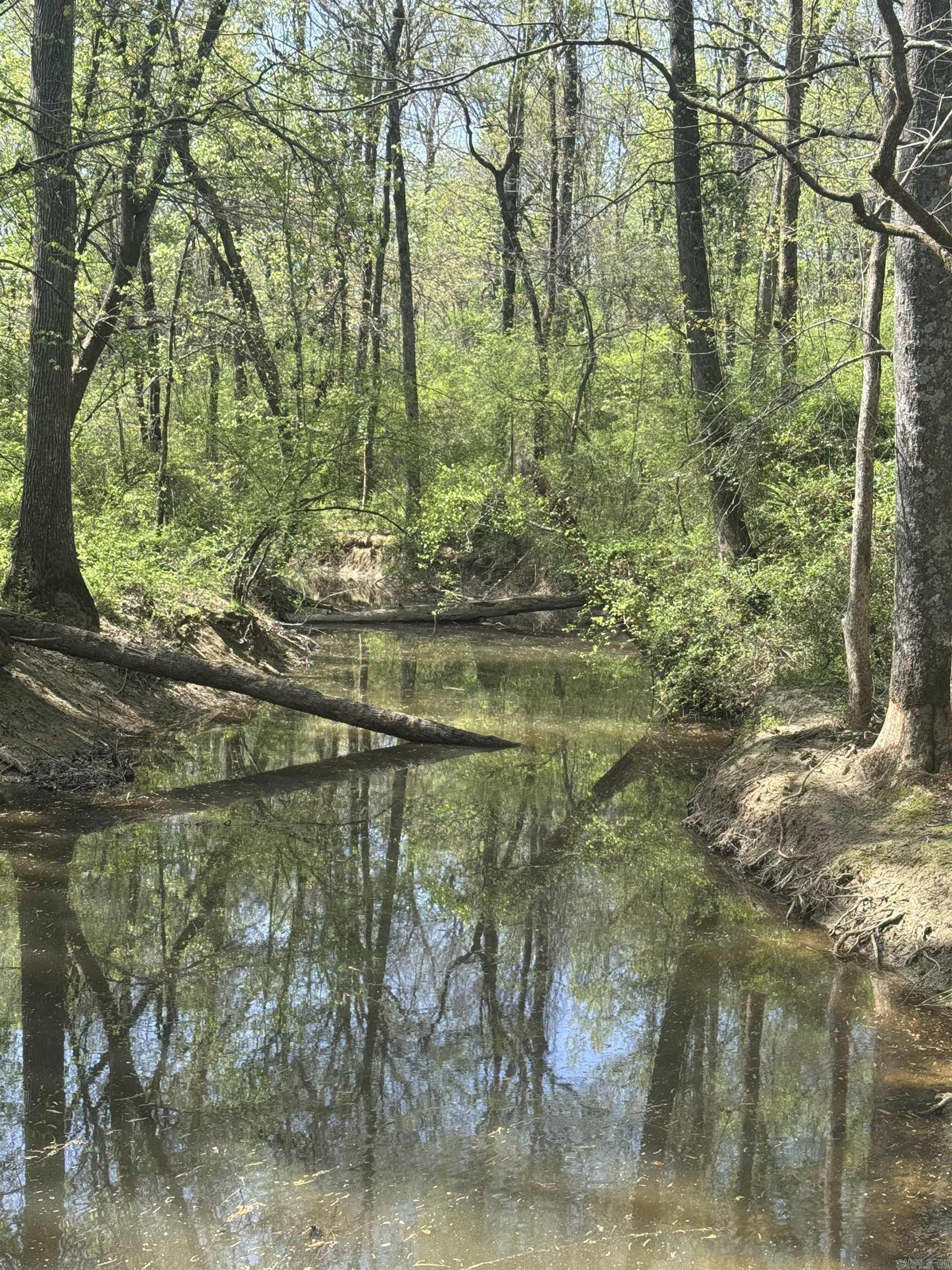 000  HWY 11  Griffithville, AR