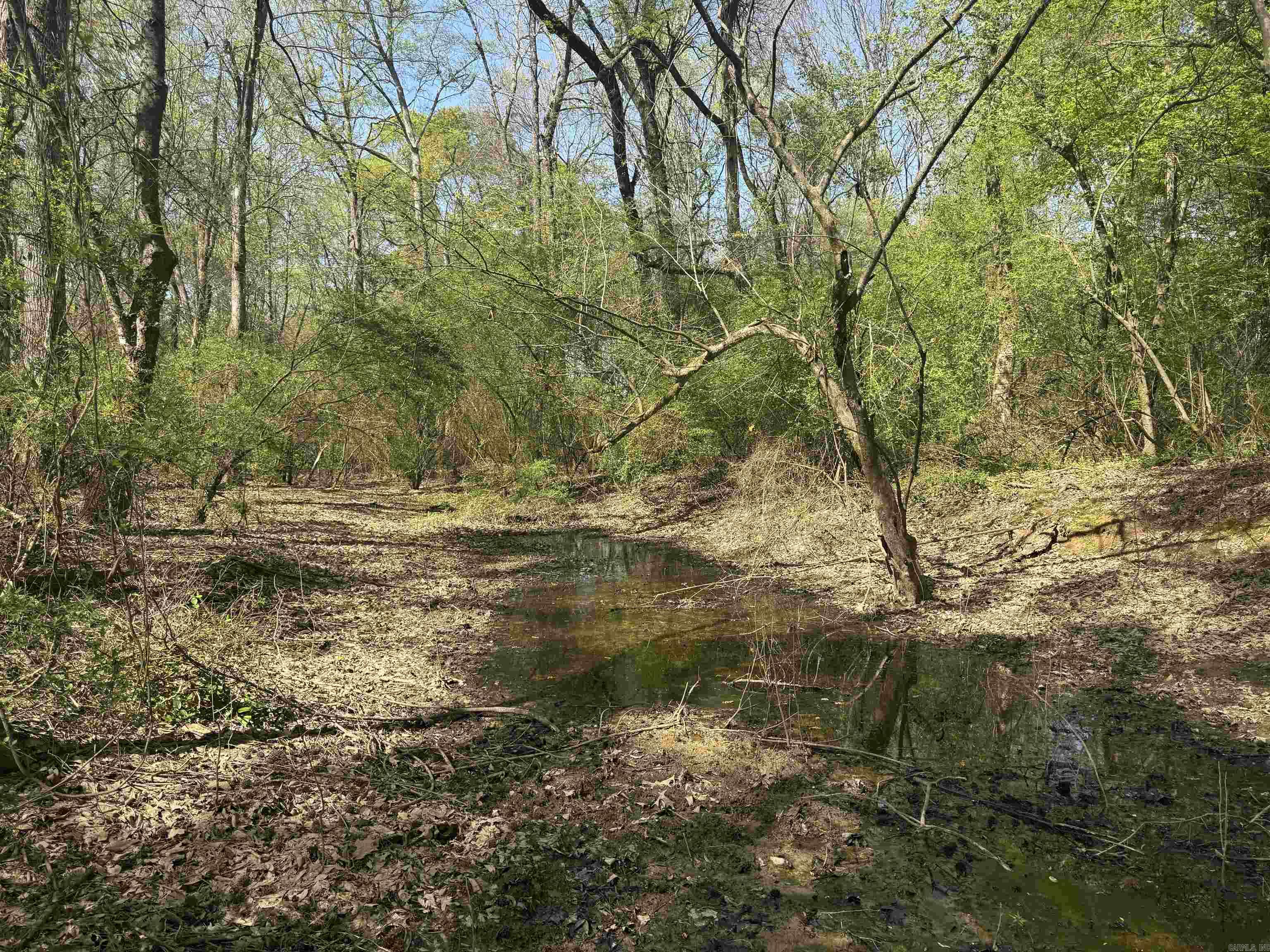 000  HWY 11  Griffithville, AR