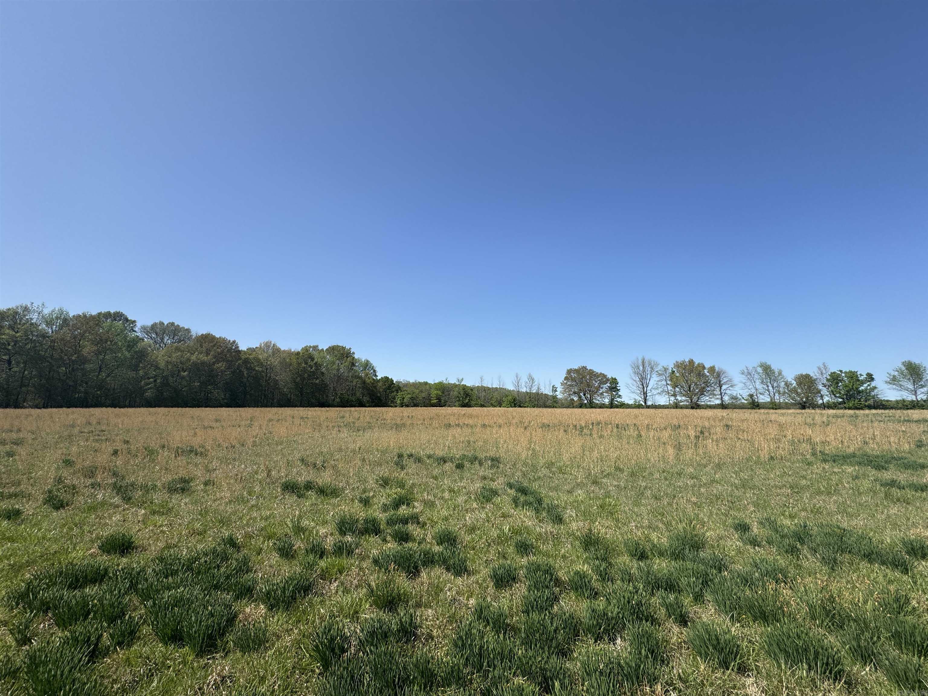 000  HWY 11  Griffithville, AR