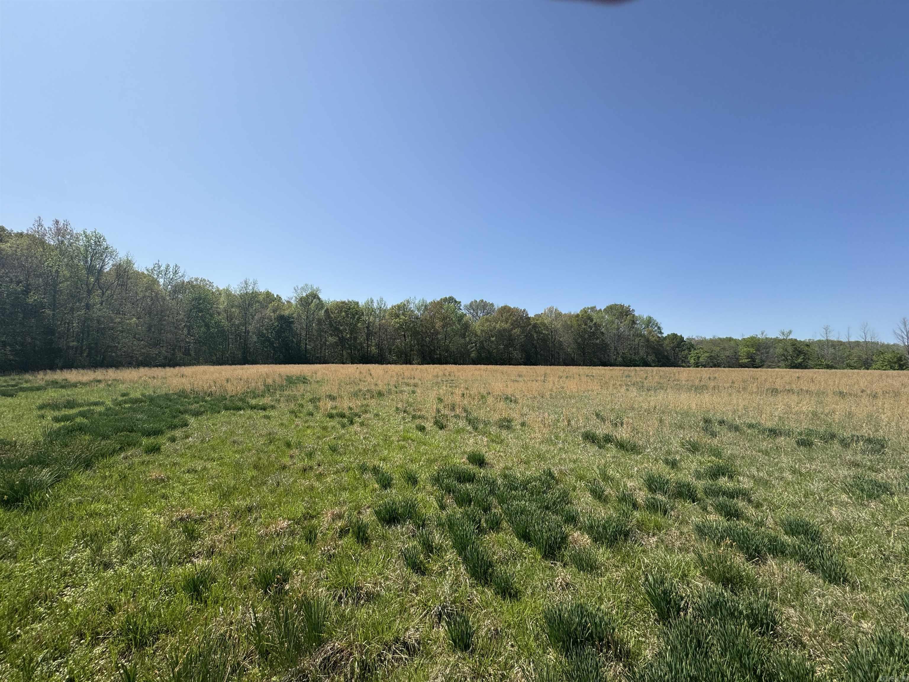 000  HWY 11  Griffithville, AR