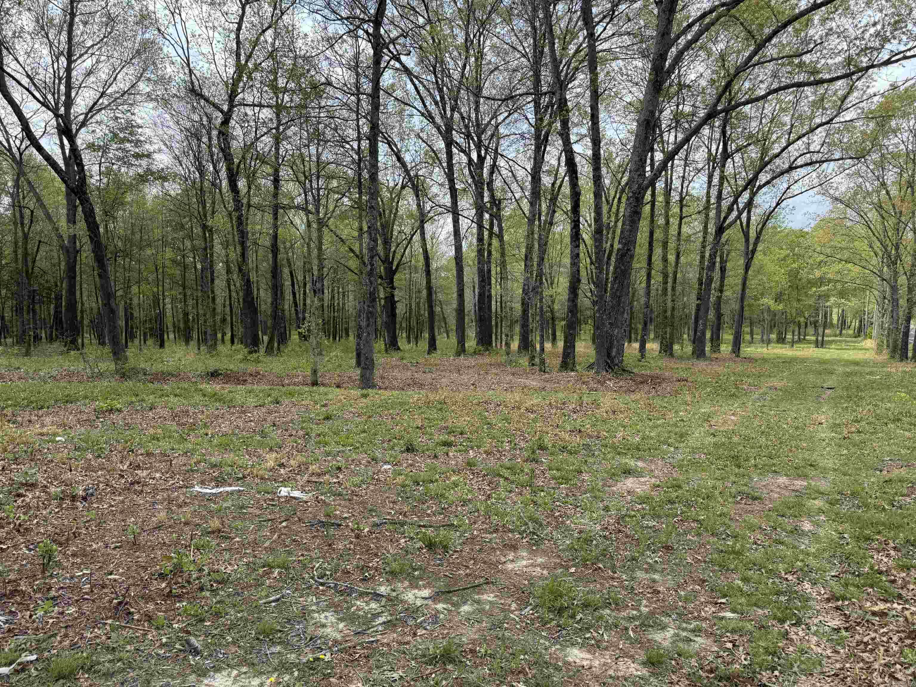 00  Hwy 321  Austin, AR
