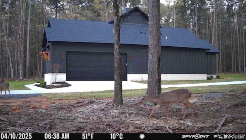 1962  Mountain Park  Shirley, AR