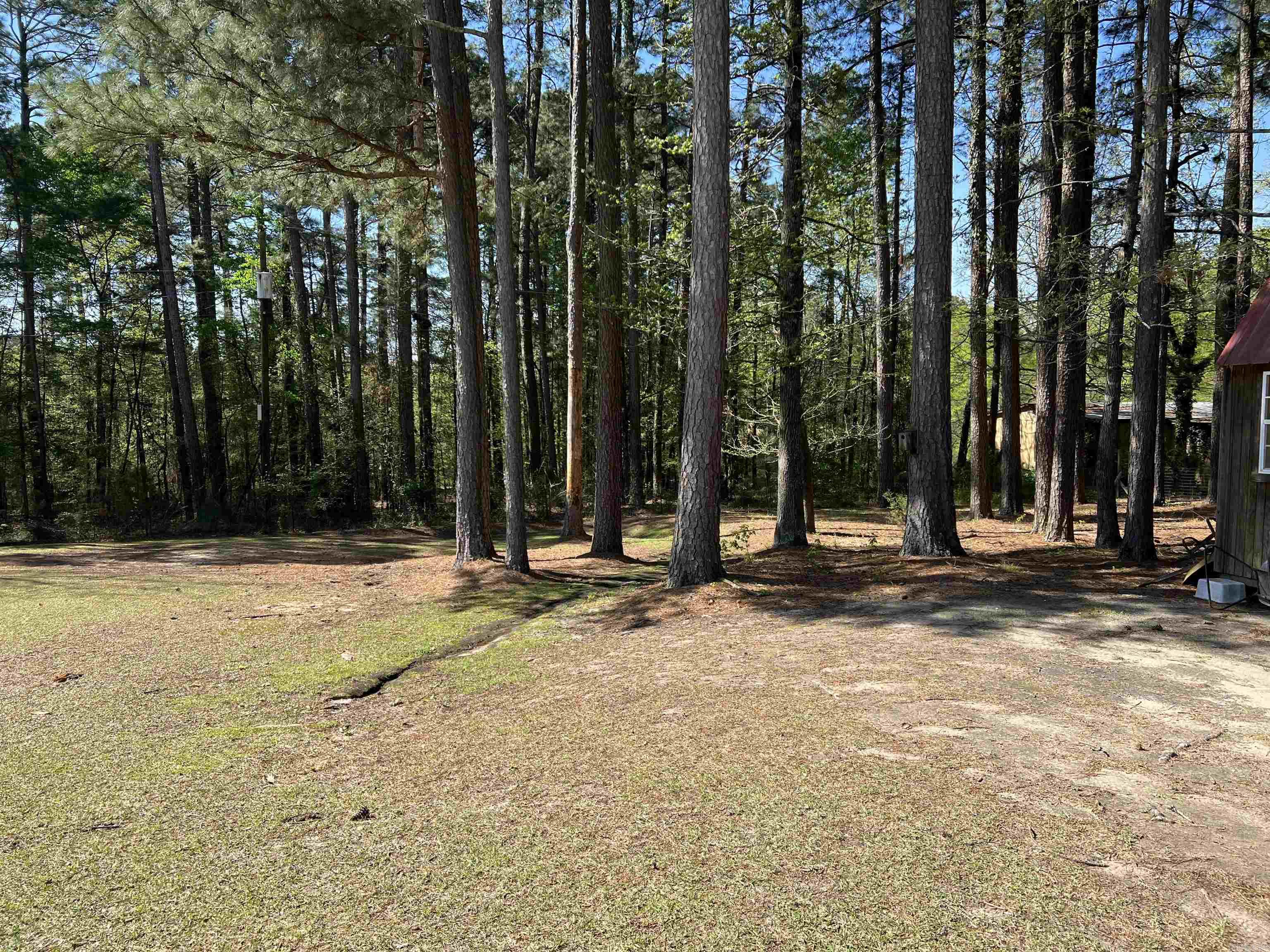239  Martha Ln  Bismarck, AR