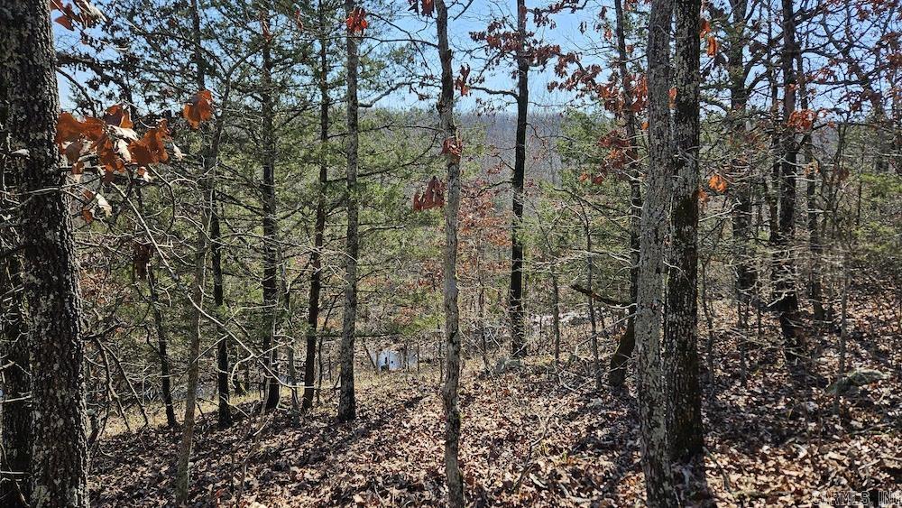Tract B  Rocky Road  Bradford, AR