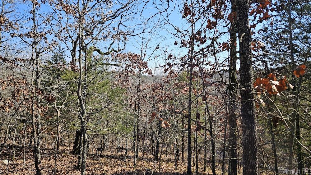 Tract B  Rocky Road  Bradford, AR