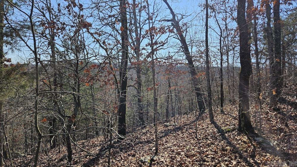 Tract B  Rocky Road  Bradford, AR
