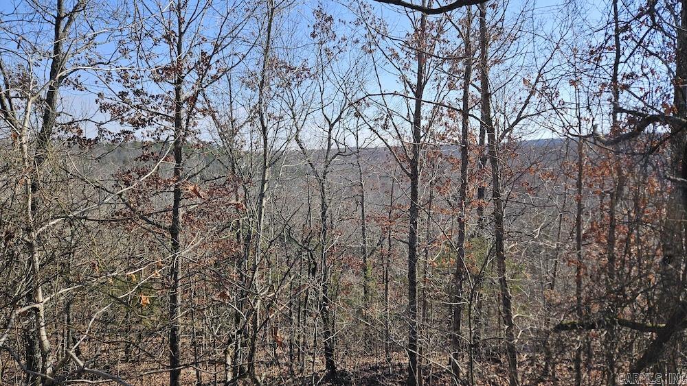 Tract B  Rocky Road  Bradford, AR