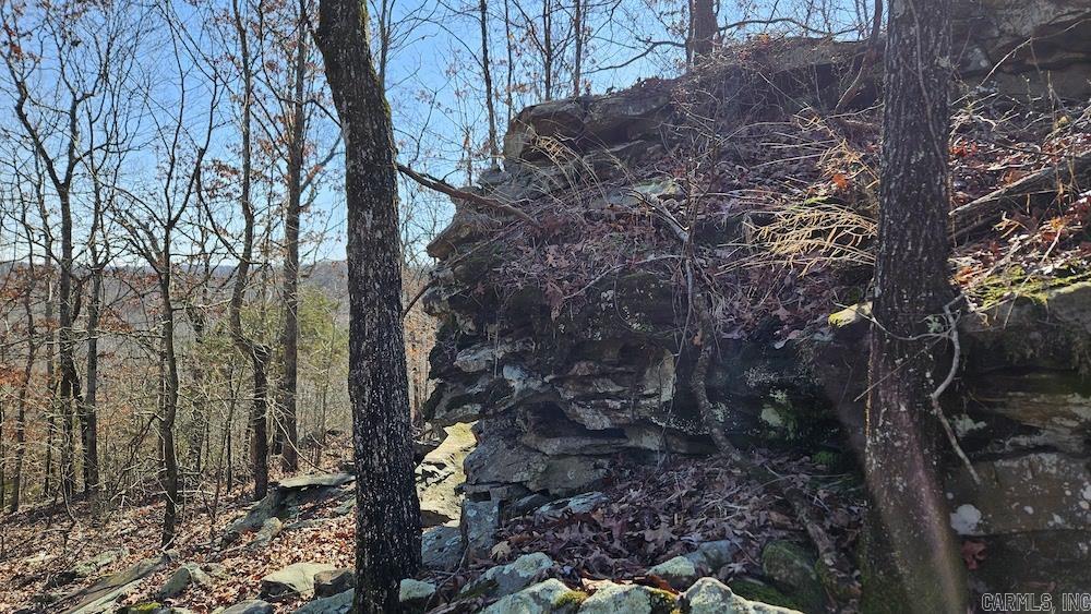 Tract B  Rocky Road  Bradford, AR