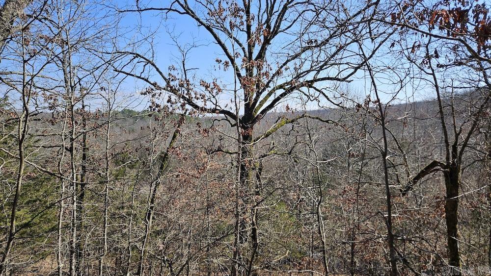Tract B  Rocky Road  Bradford, AR