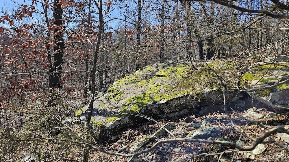 Tract B  Rocky Road  Bradford, AR