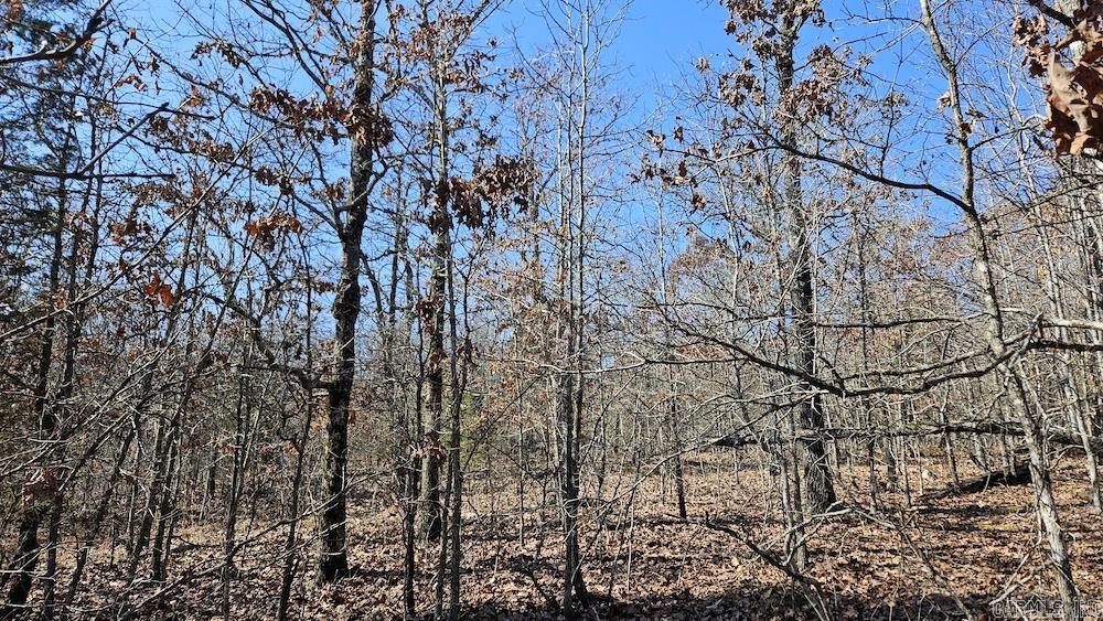Tract B  Rocky Road  Bradford, AR