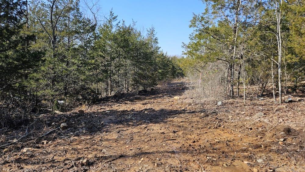 Tract B  Rocky Road  Bradford, AR